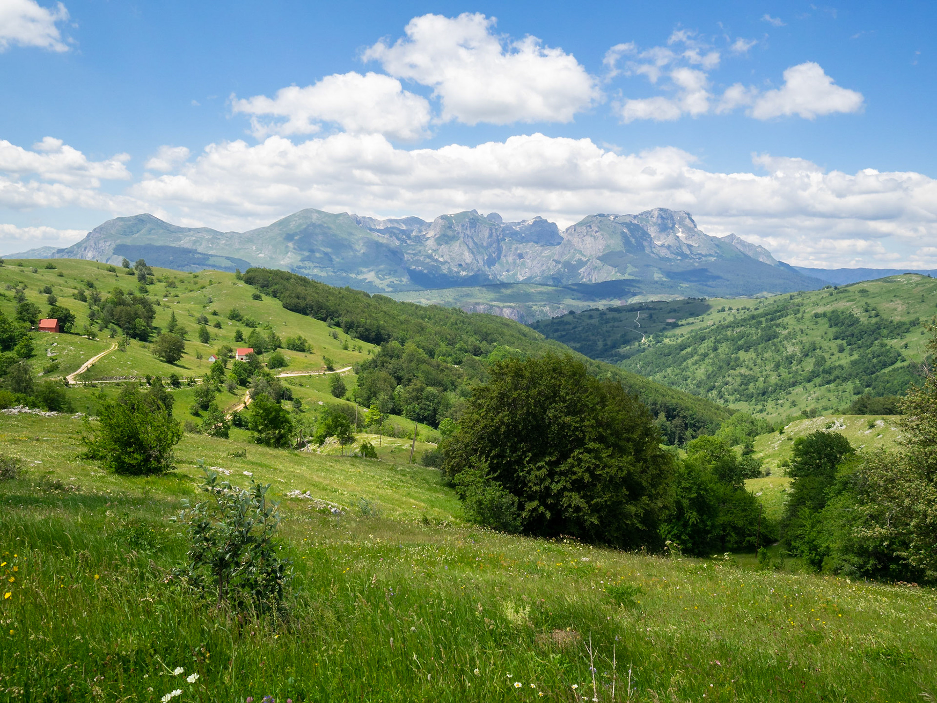 Green fields and mountain peaks of Durmitor National Park