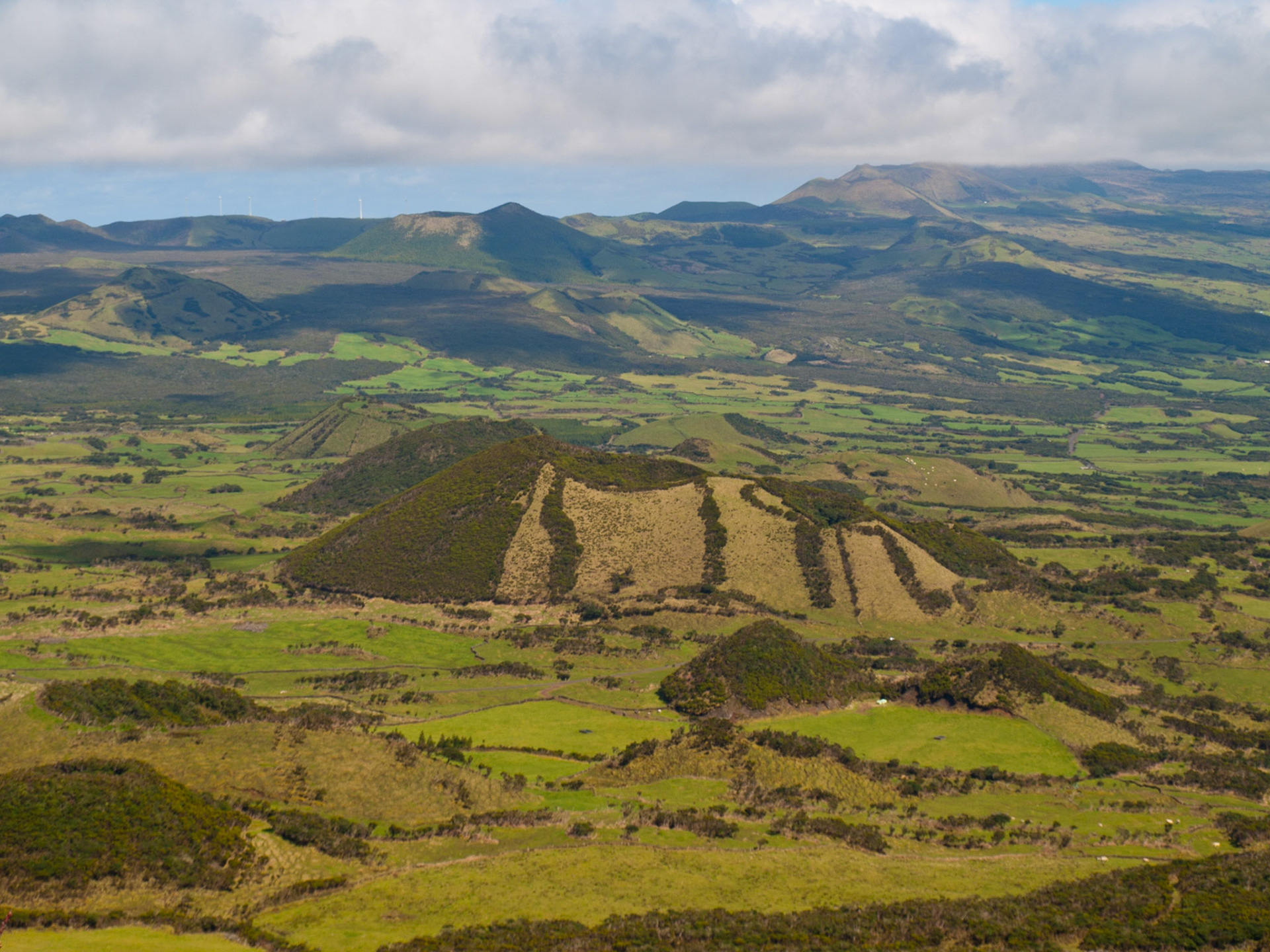 Green fields in Pico island