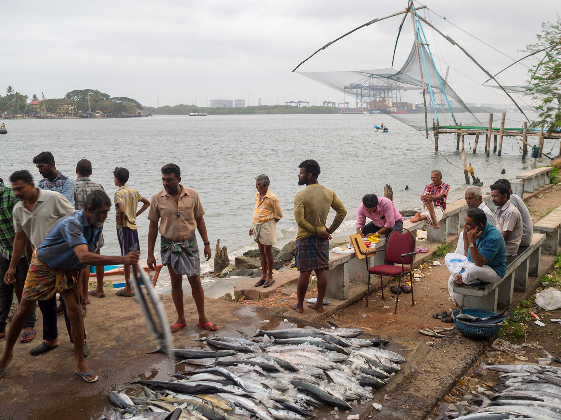Selling fish in Cochin