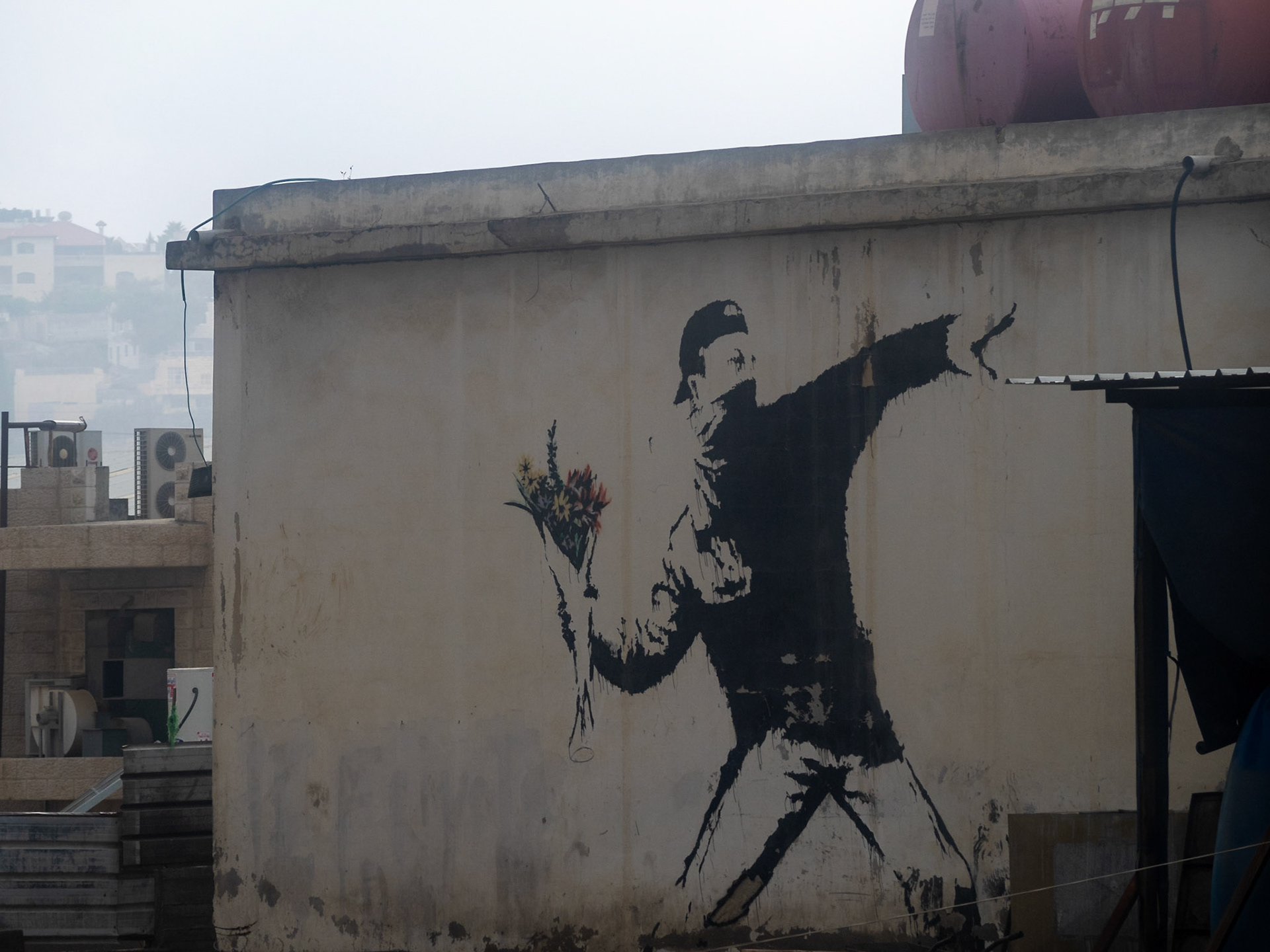 Banksy Flower Thrower painted in Ramallah's building wall
