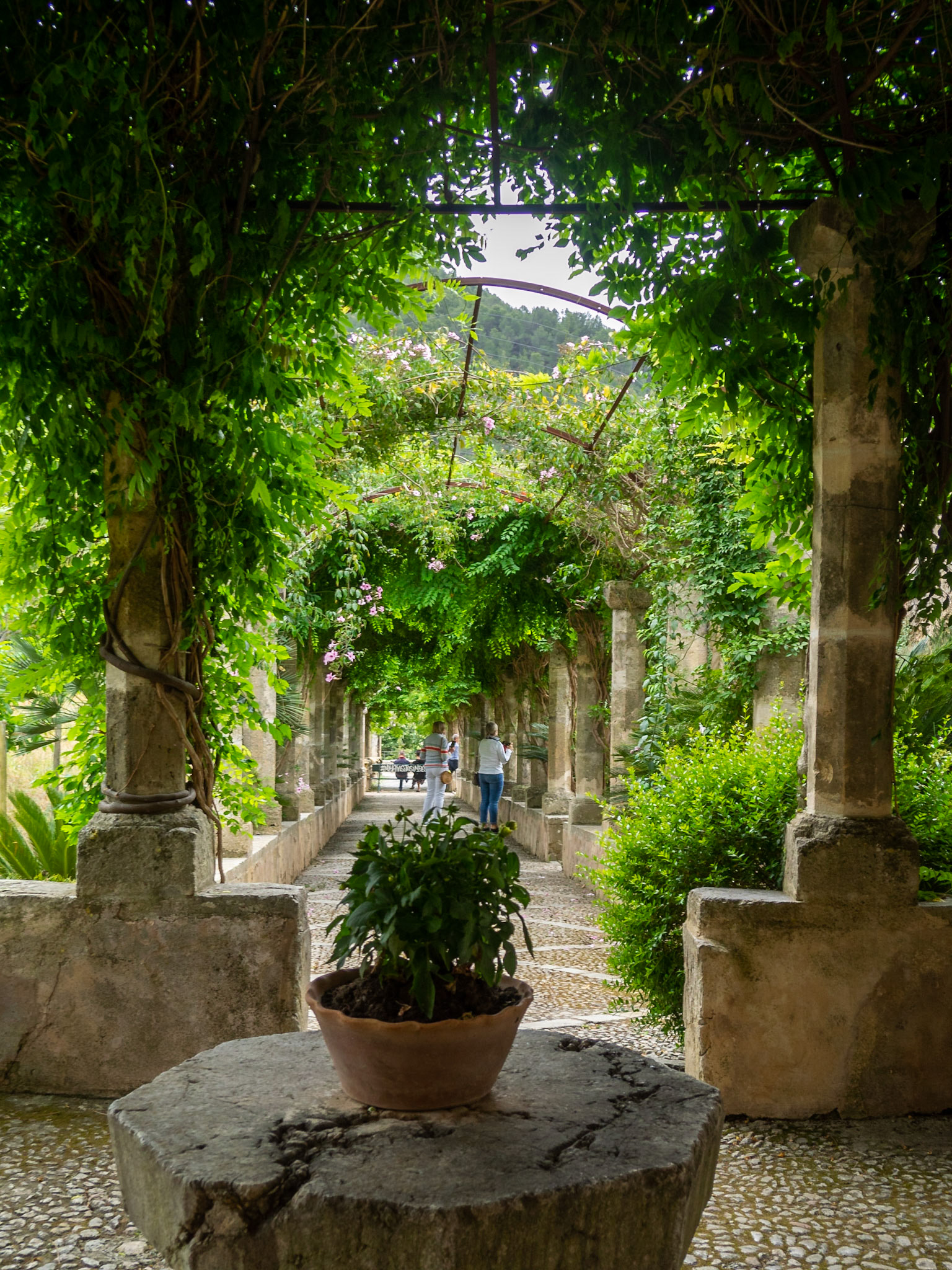 Alfabia Gardens, Mallorca