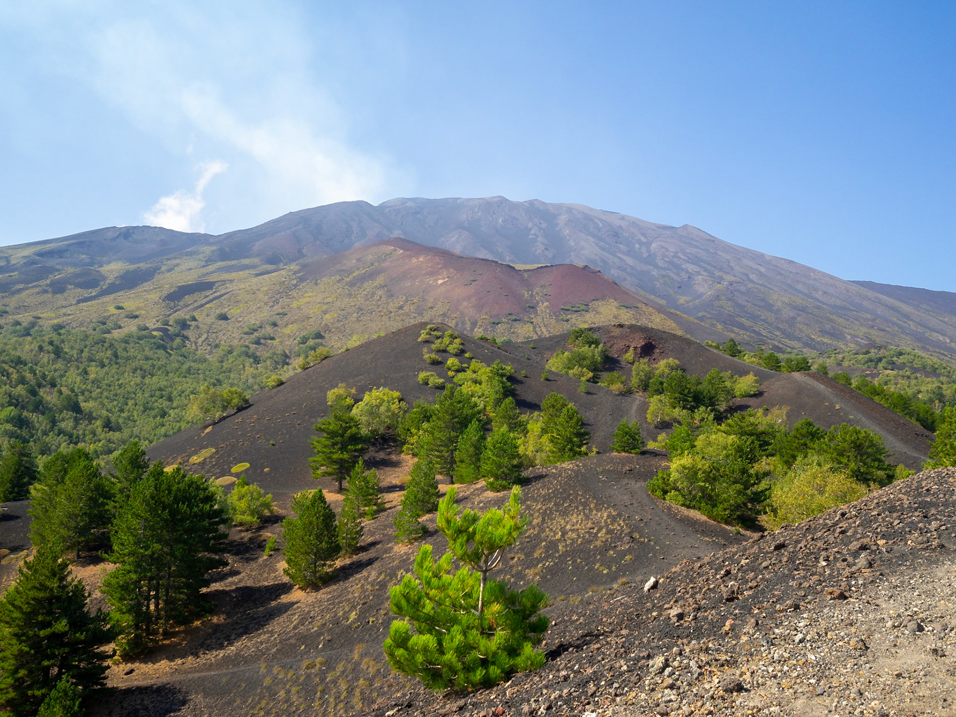 Mount Etna north slop landscape