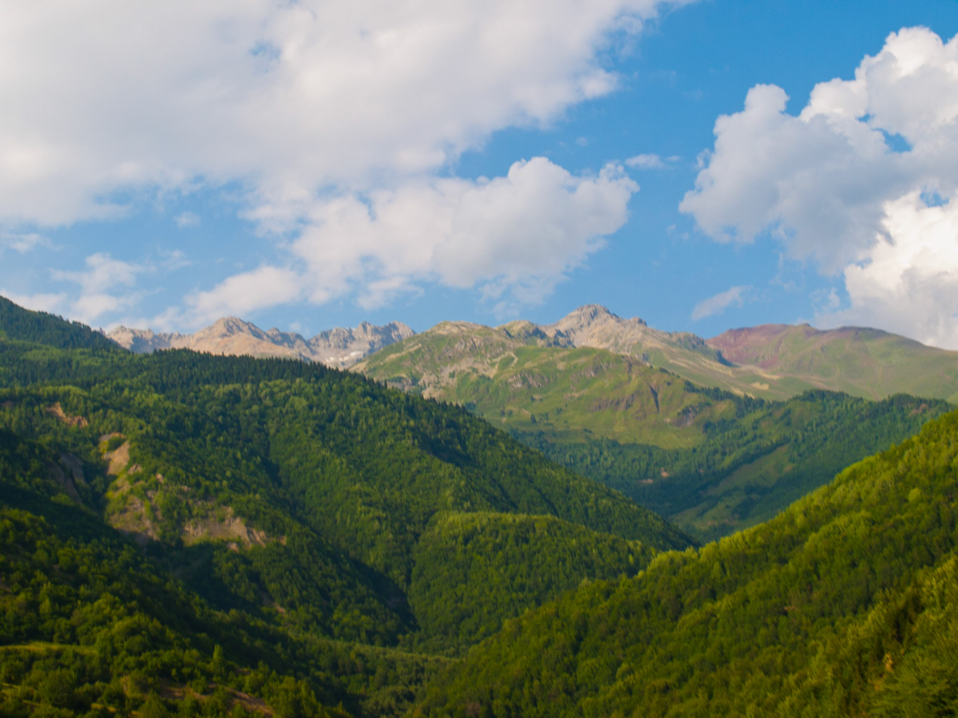 Saventi green mountains