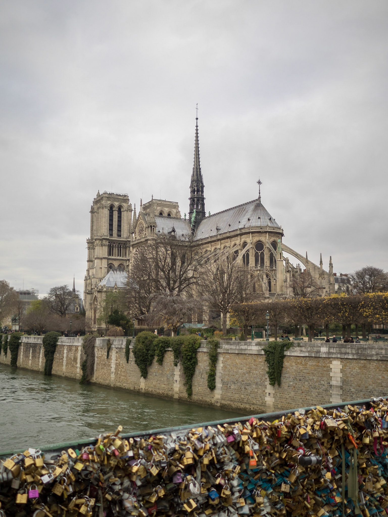 Pont l'Archevêché covered in padlocks and Notre Dame de Paris cathedral in background