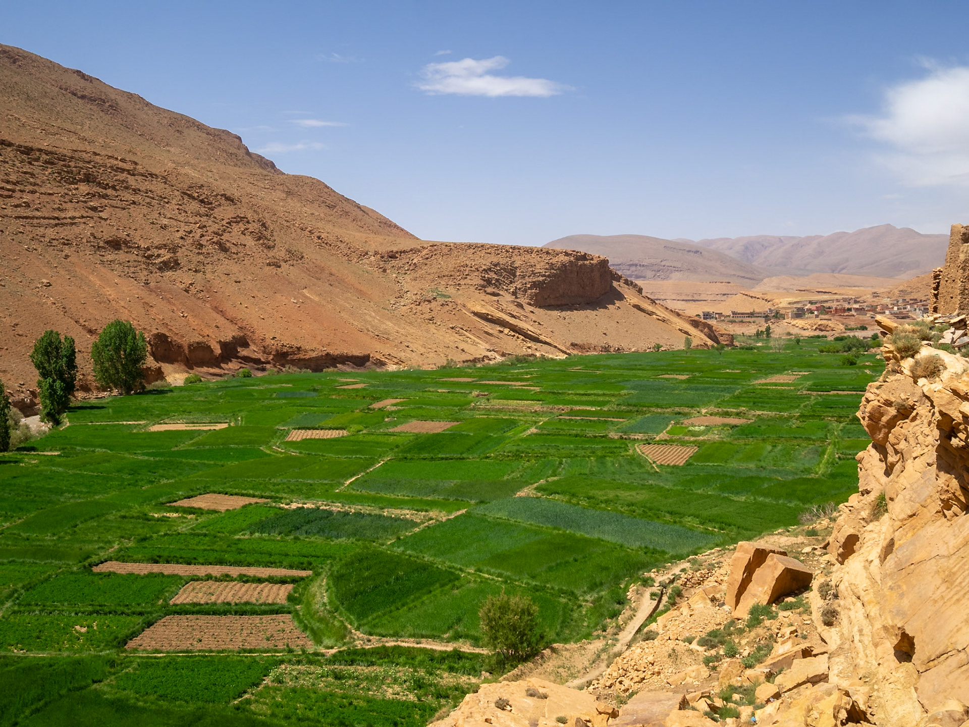 Tamtetoucht green crop fields below the High Atlas mountains ochre, Morocco
