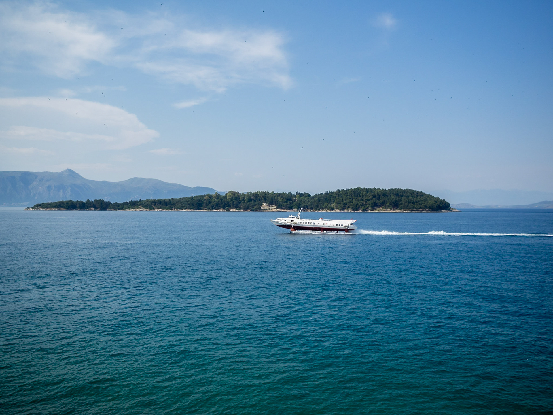 A jetfoil in Corfu sea