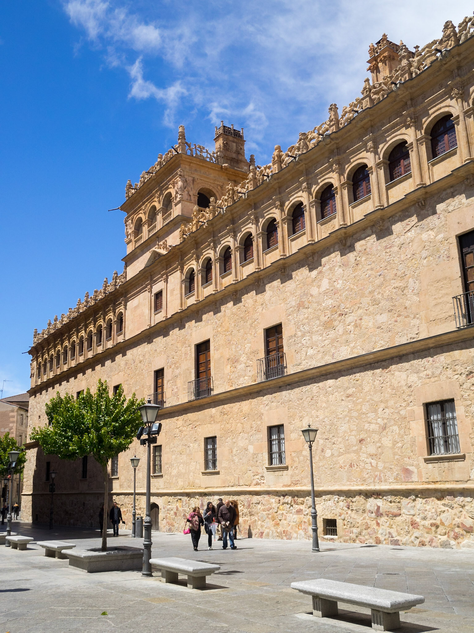 Salamanca Palacio Monterrey