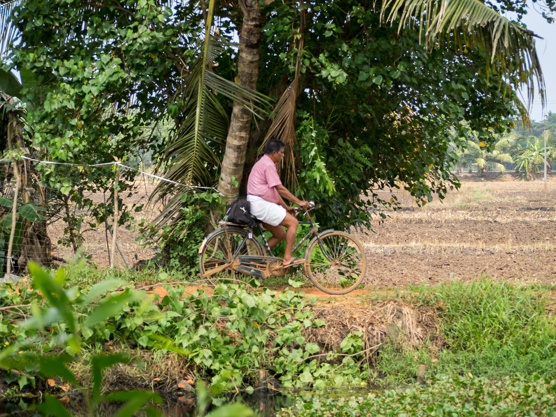 Life by the canals of Kerala backwaters