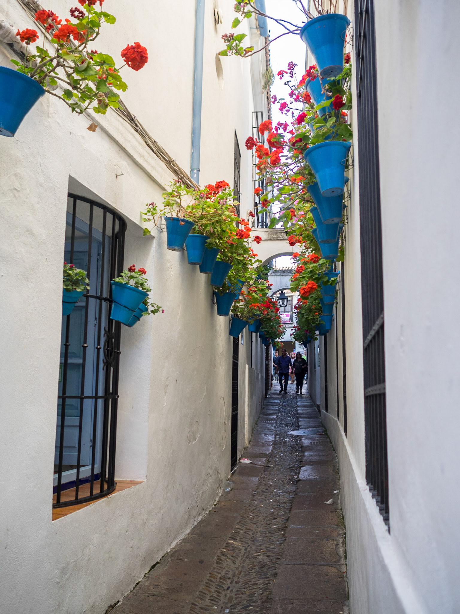 Cordoba Calleja de las Flores