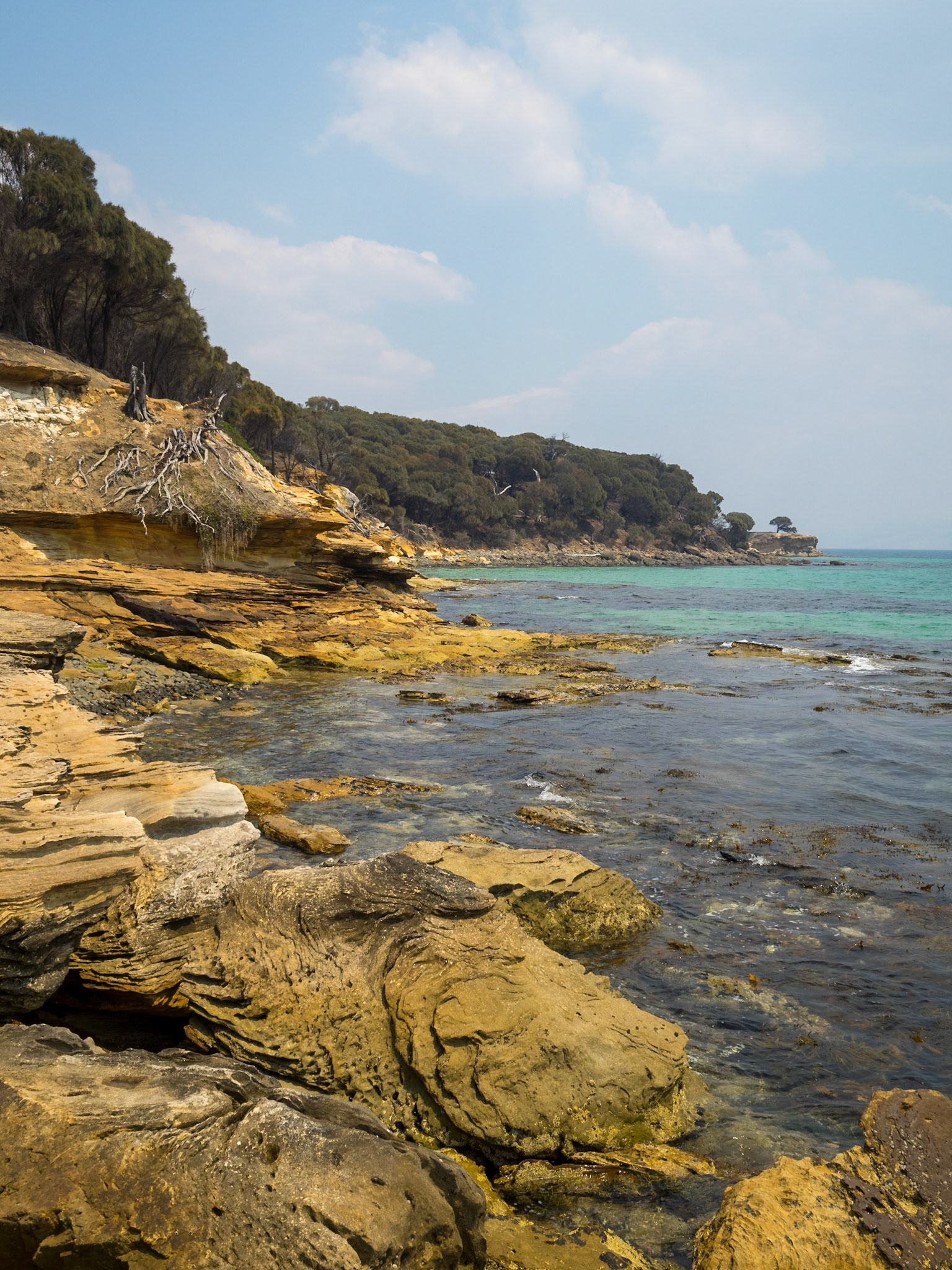 Maria Island Painted Cliffs