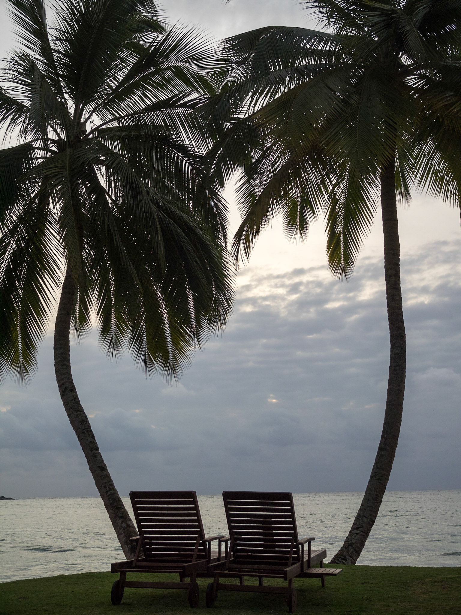 Beach chairs and palm trees silhouettes
