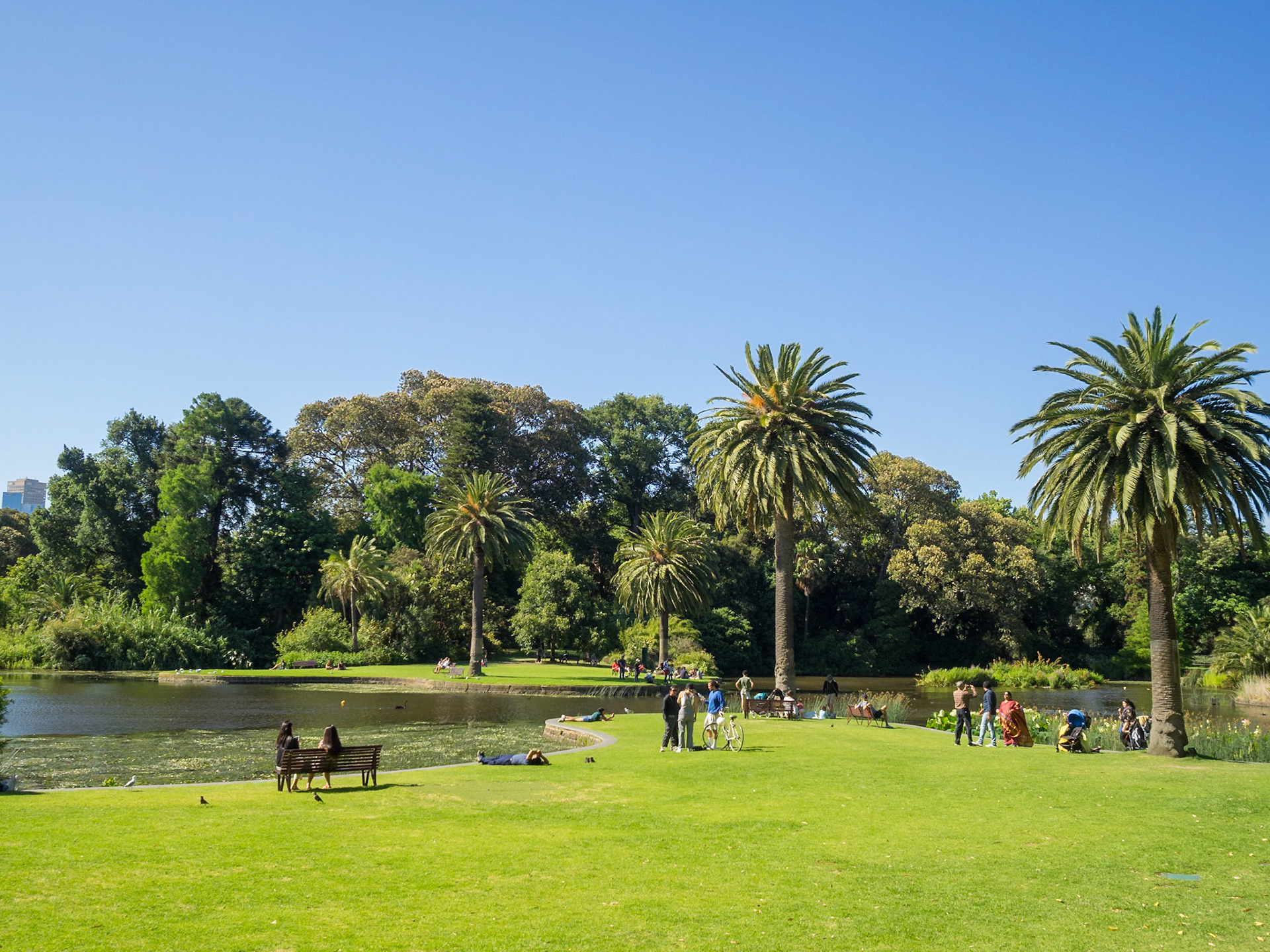 Melbourne's Royal Botanic Gardens