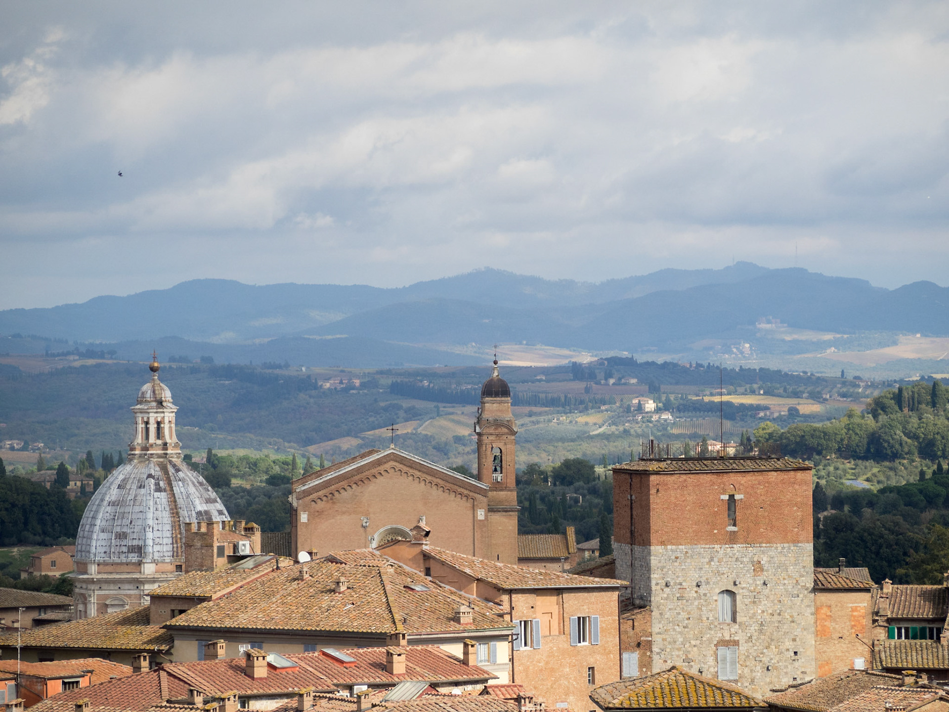 Sienna roofs seen from the Duomo
