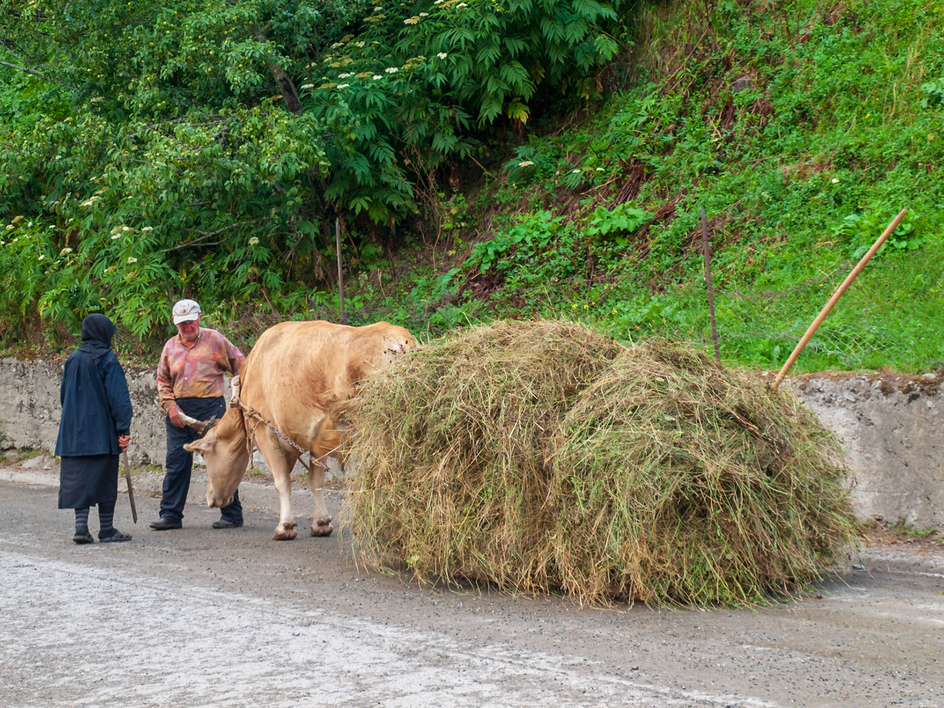 Elderly couple with oxcart and hay