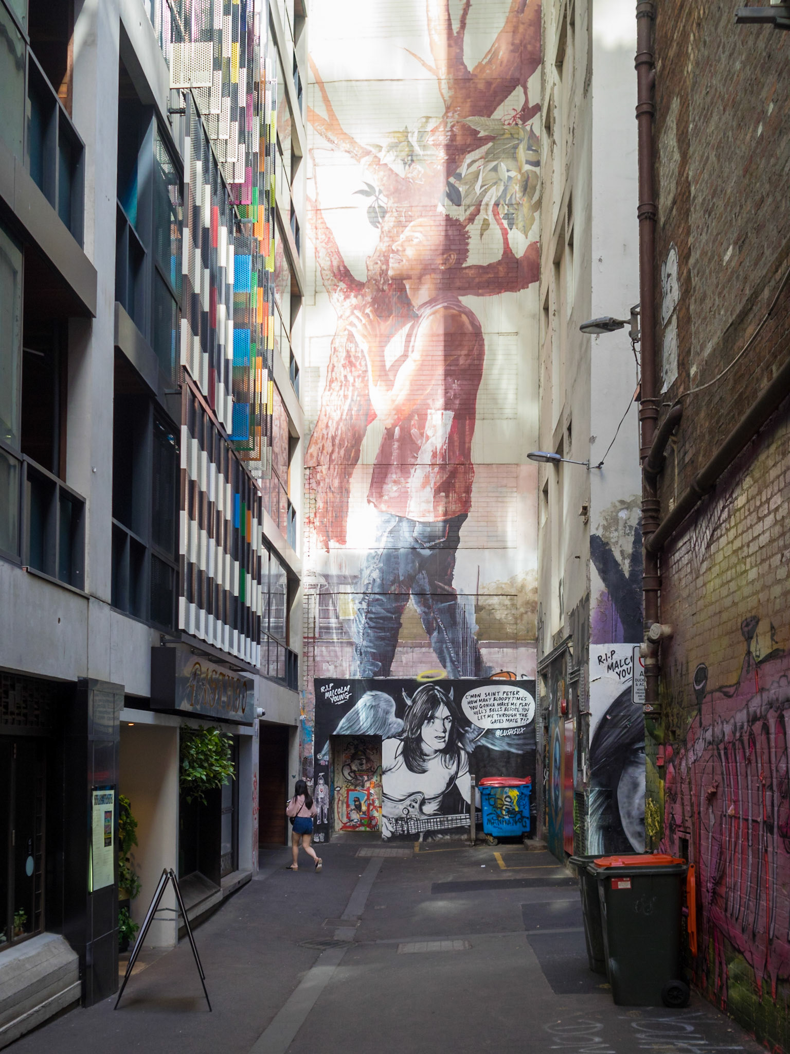 Duckboard Place street art, Melbourne