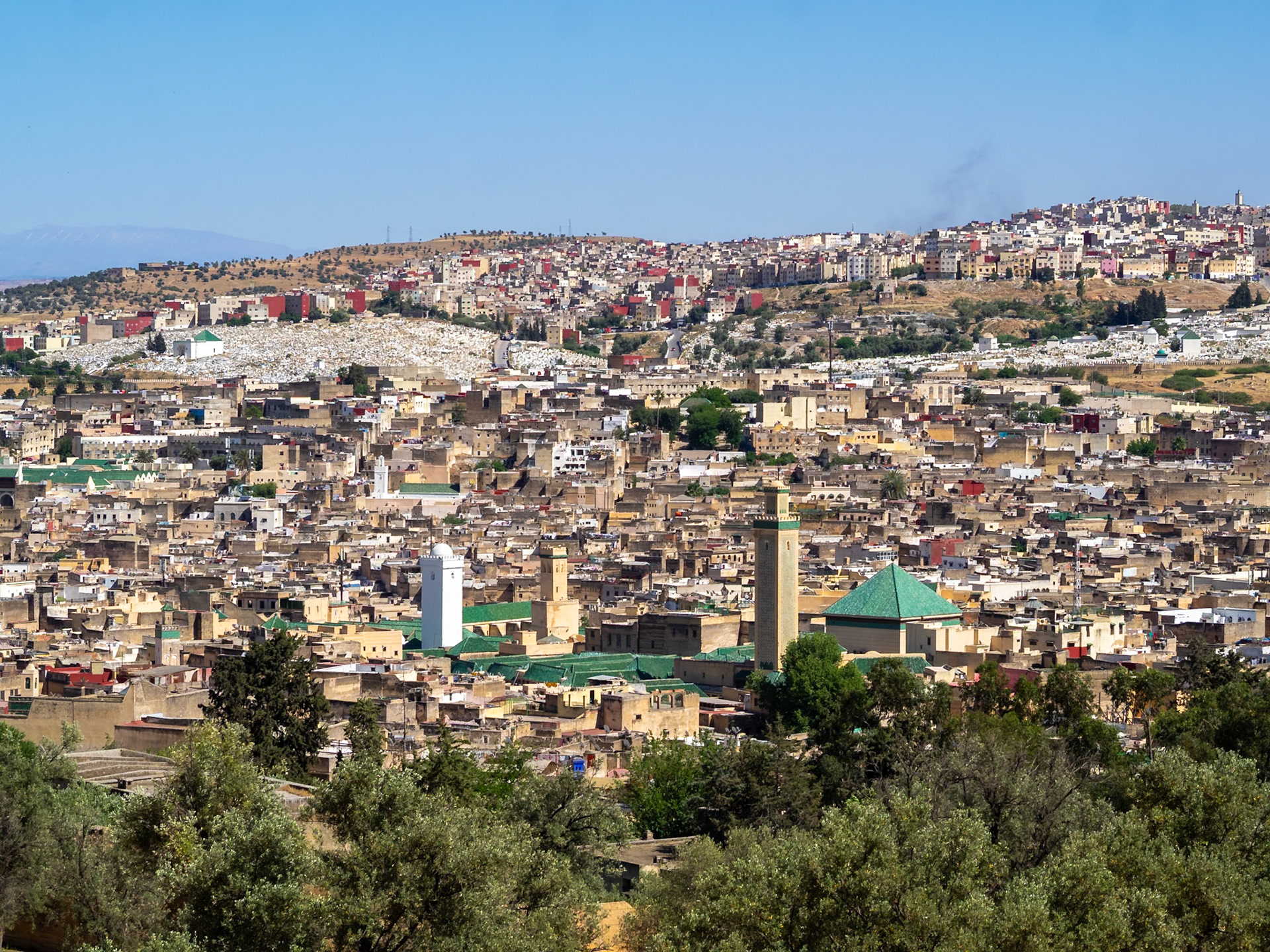Fez cityscape with Mosque of the Andalusians in foreground, Morocco