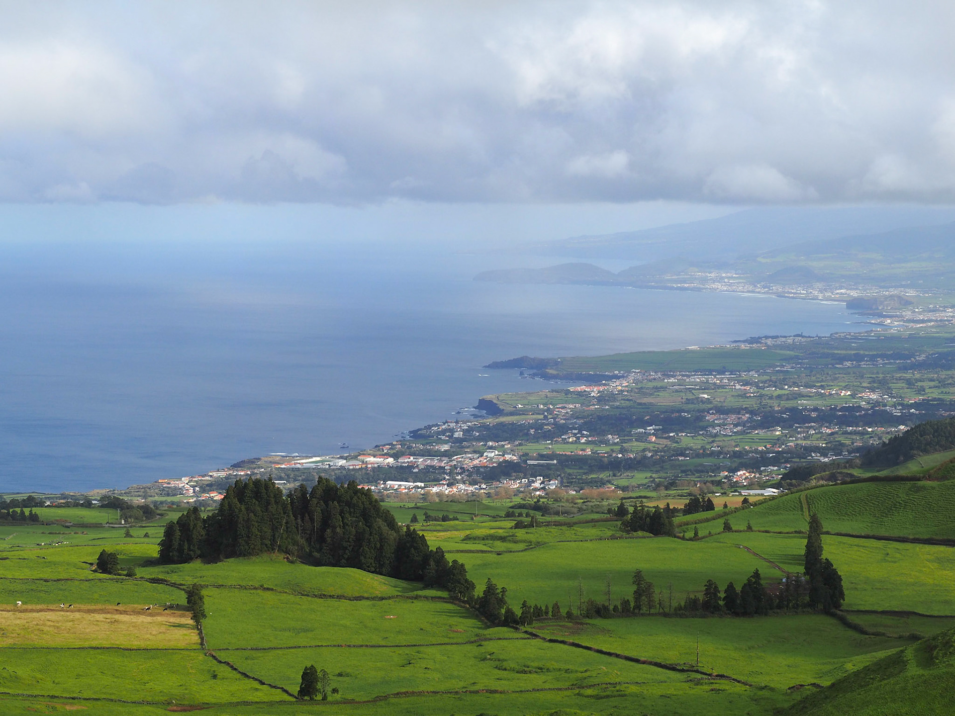 Sao Miguel island green landscape and coastline