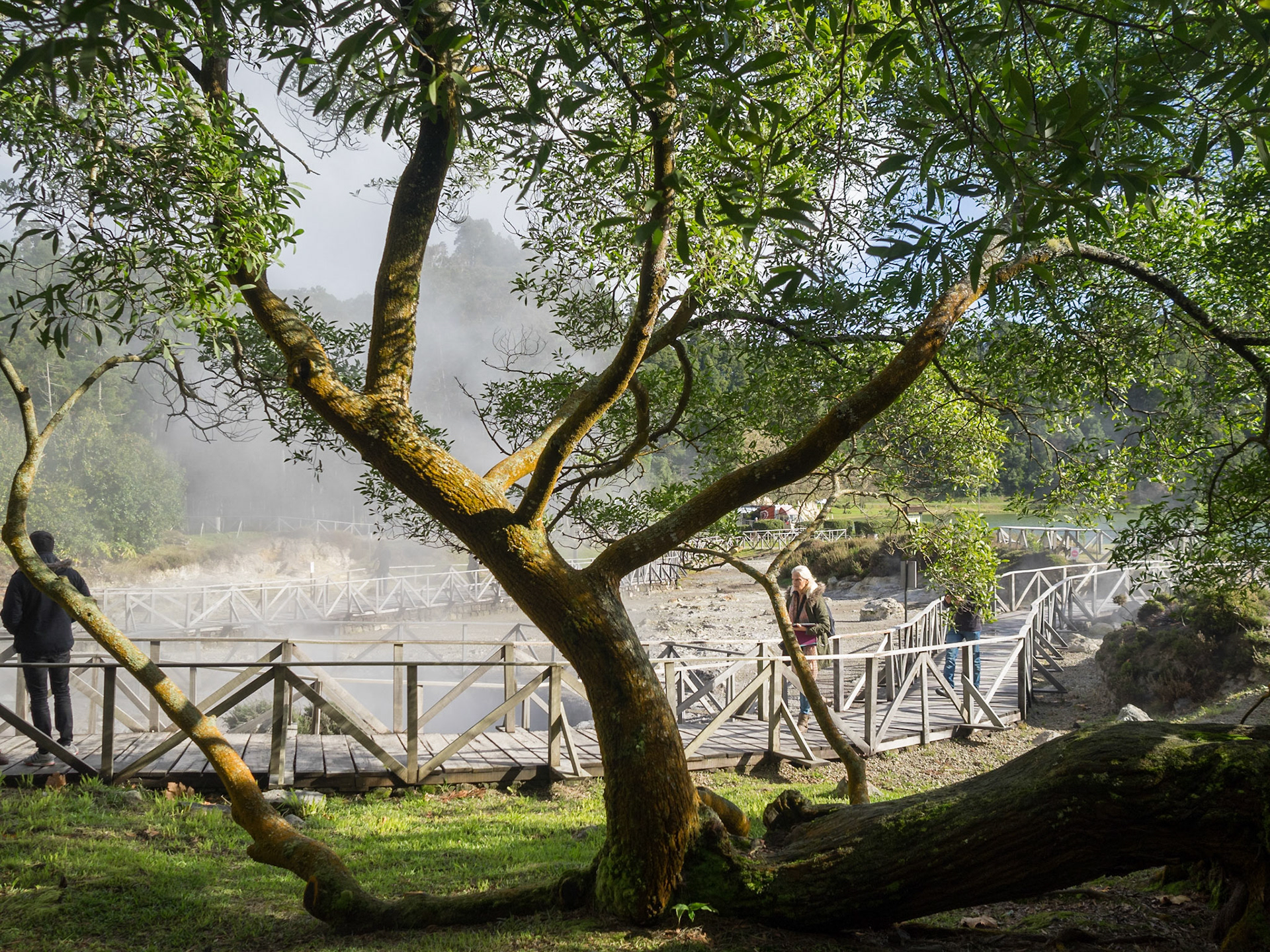People walking along the path round Furnas geothermal place