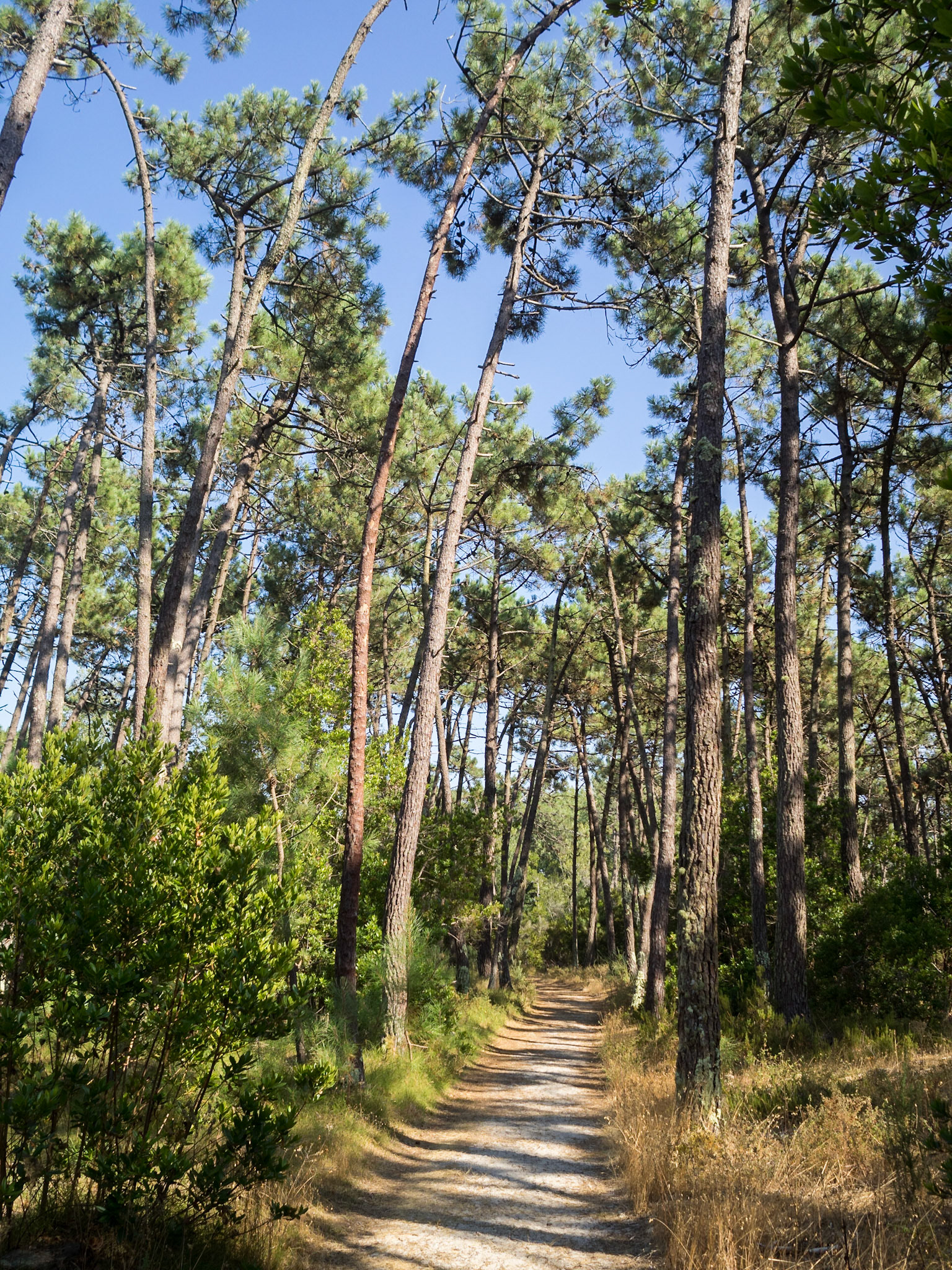 São Jacinto Dunes Nature Park