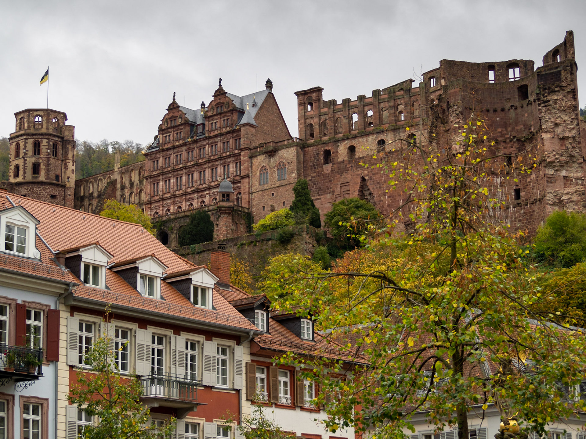 Heidelberg Castle above the city roof