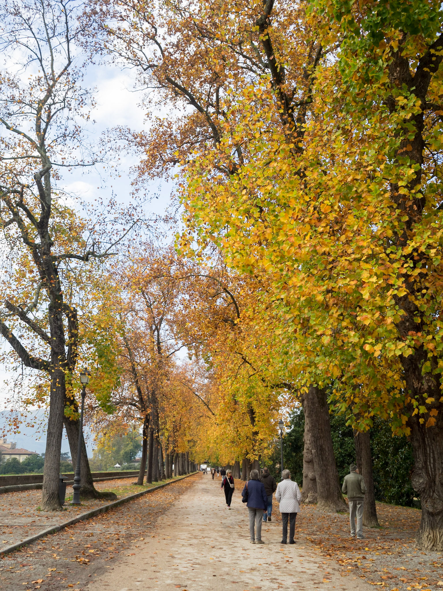 Walking in Lucca wall in Autumn