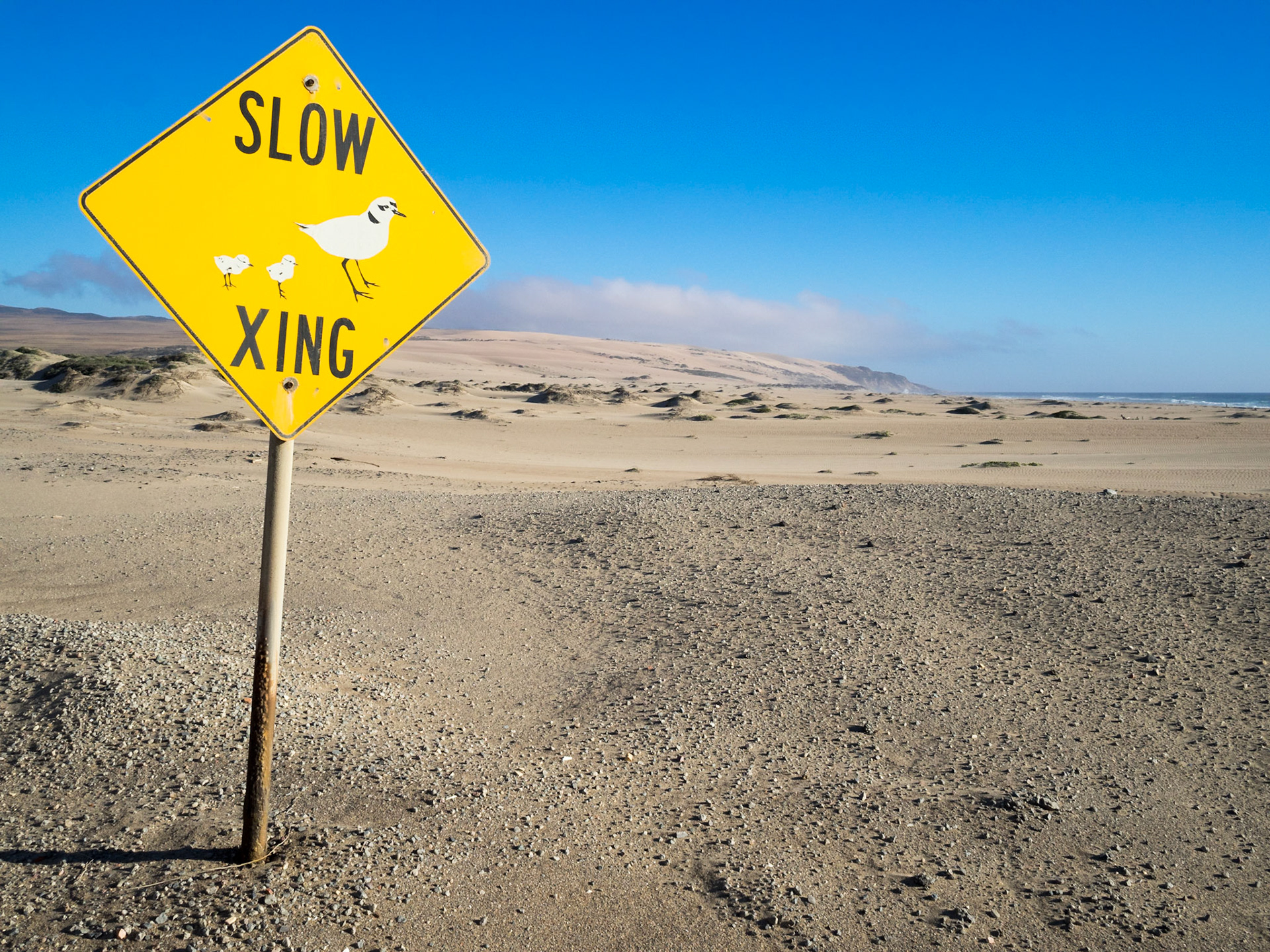Road sign with birds at Rancho Guadalupe Dunes Preserve