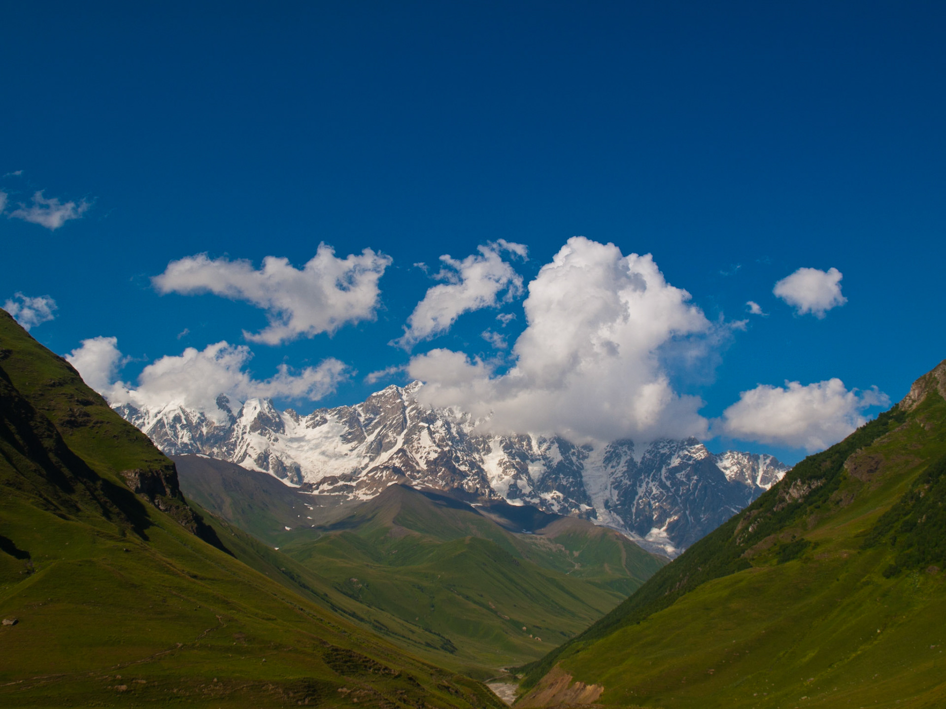 Snow covered pick of Mount Shkhara