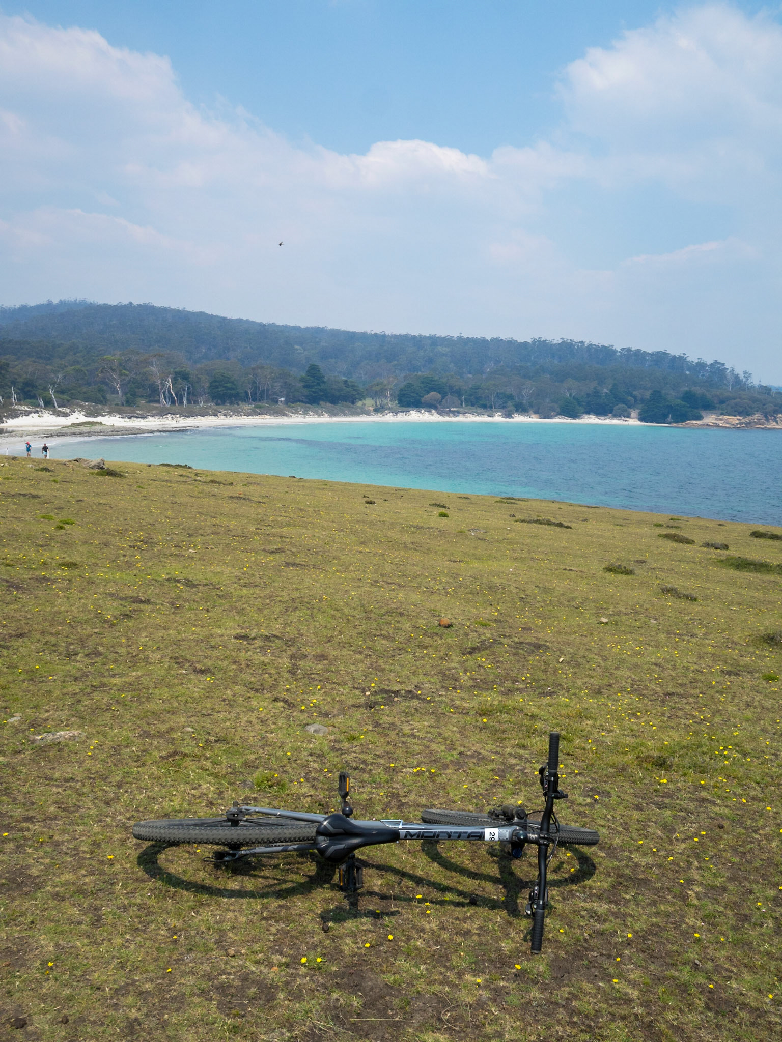 Bicycle on the grass with turquoise waters beach in background in Maria Island