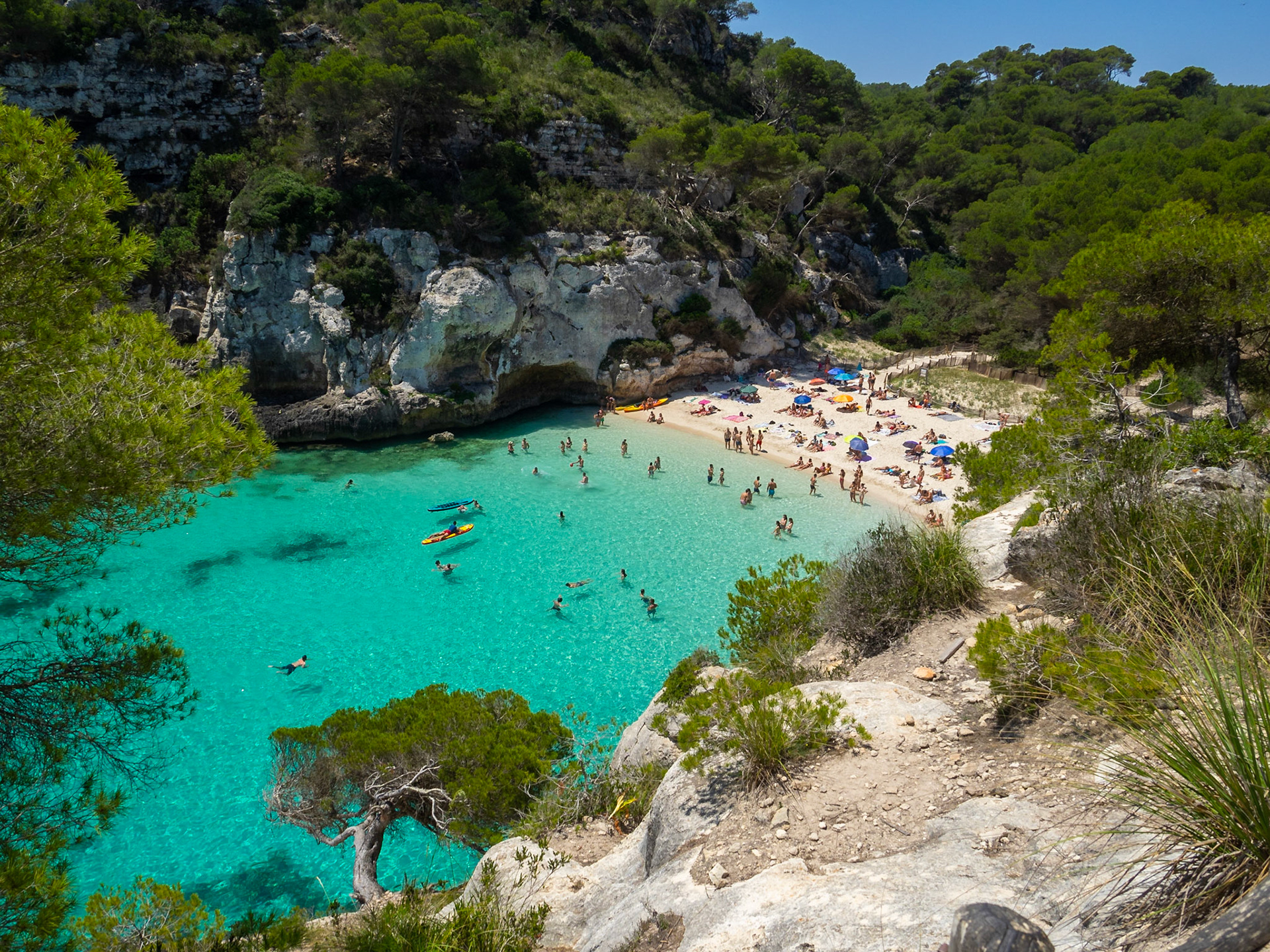 Small cove Cala Macarelleta between the green vegetation and white cliffs, Menorca