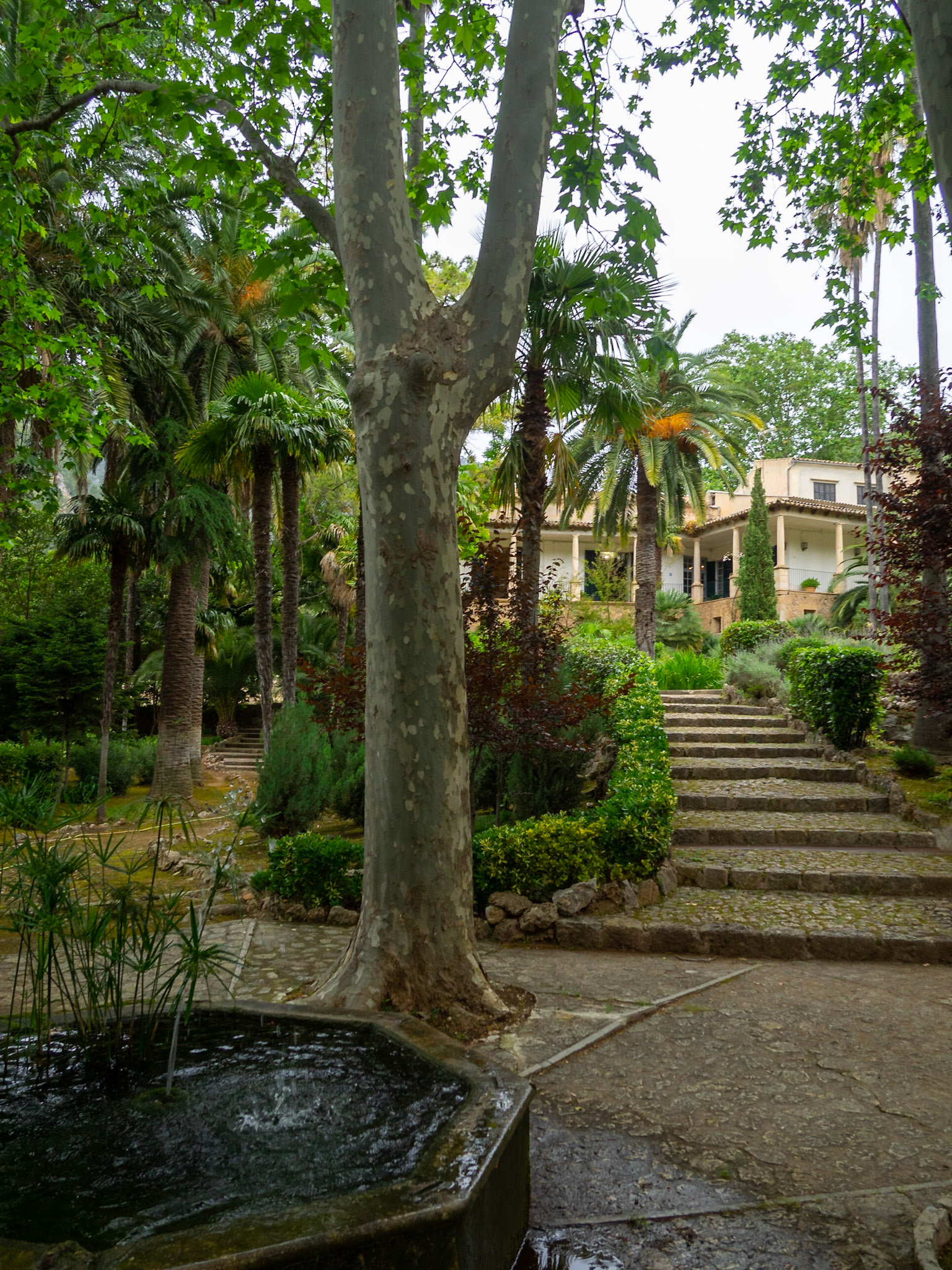 Alfabia Gardens, Mallorca