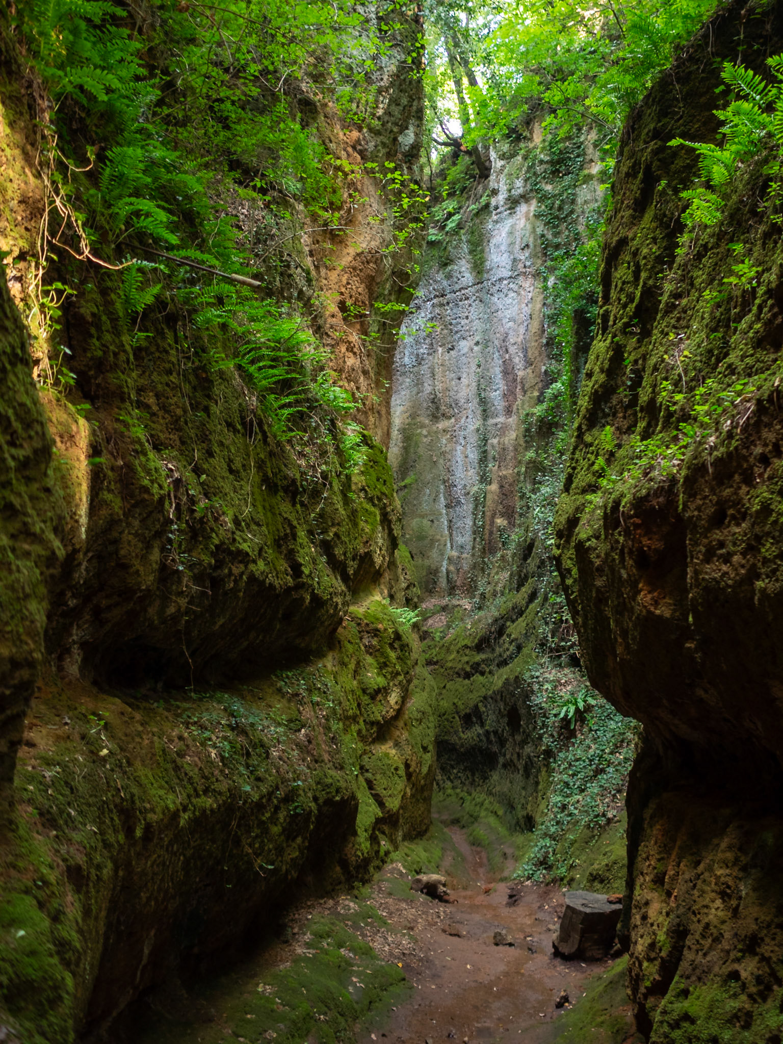 The Vie Cava di San Sebastiano, old Etruscan road cut from the tuff rock, The Etruscan Necropolis of Sovana
