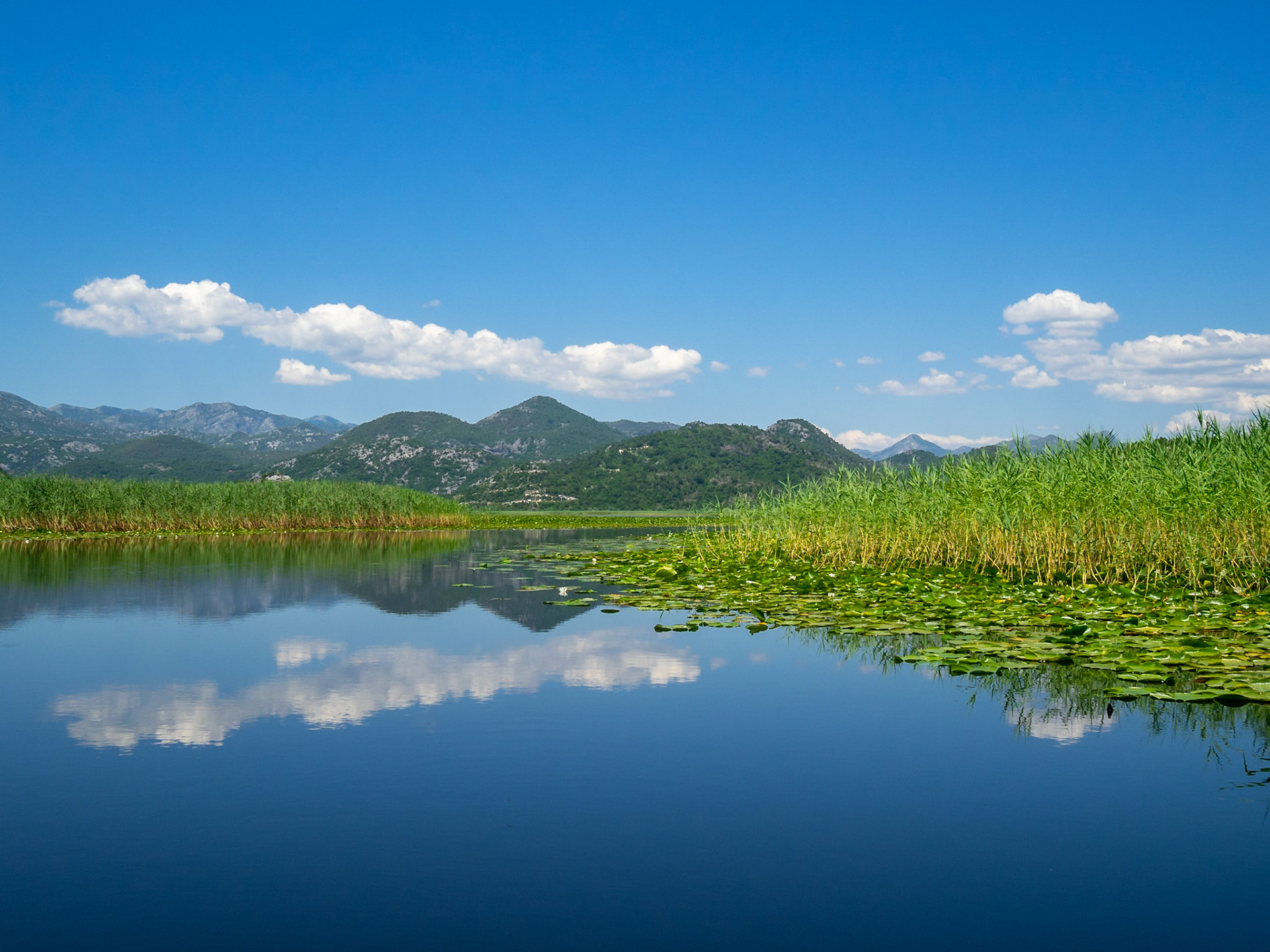 The landscape reflected in Lake Skadar, Montenegro