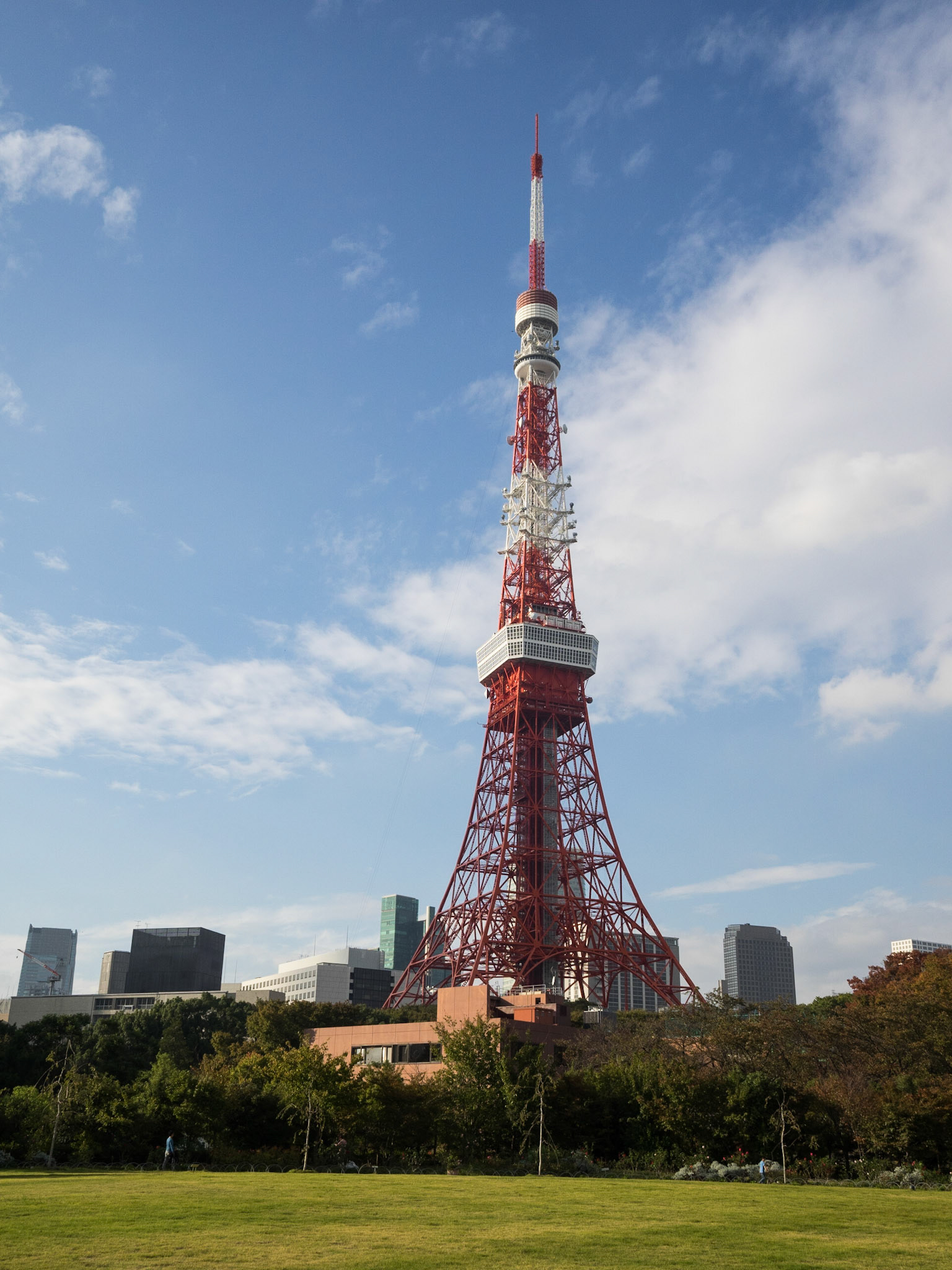 Tokyo Tower over the skyscrapers and the park lawn