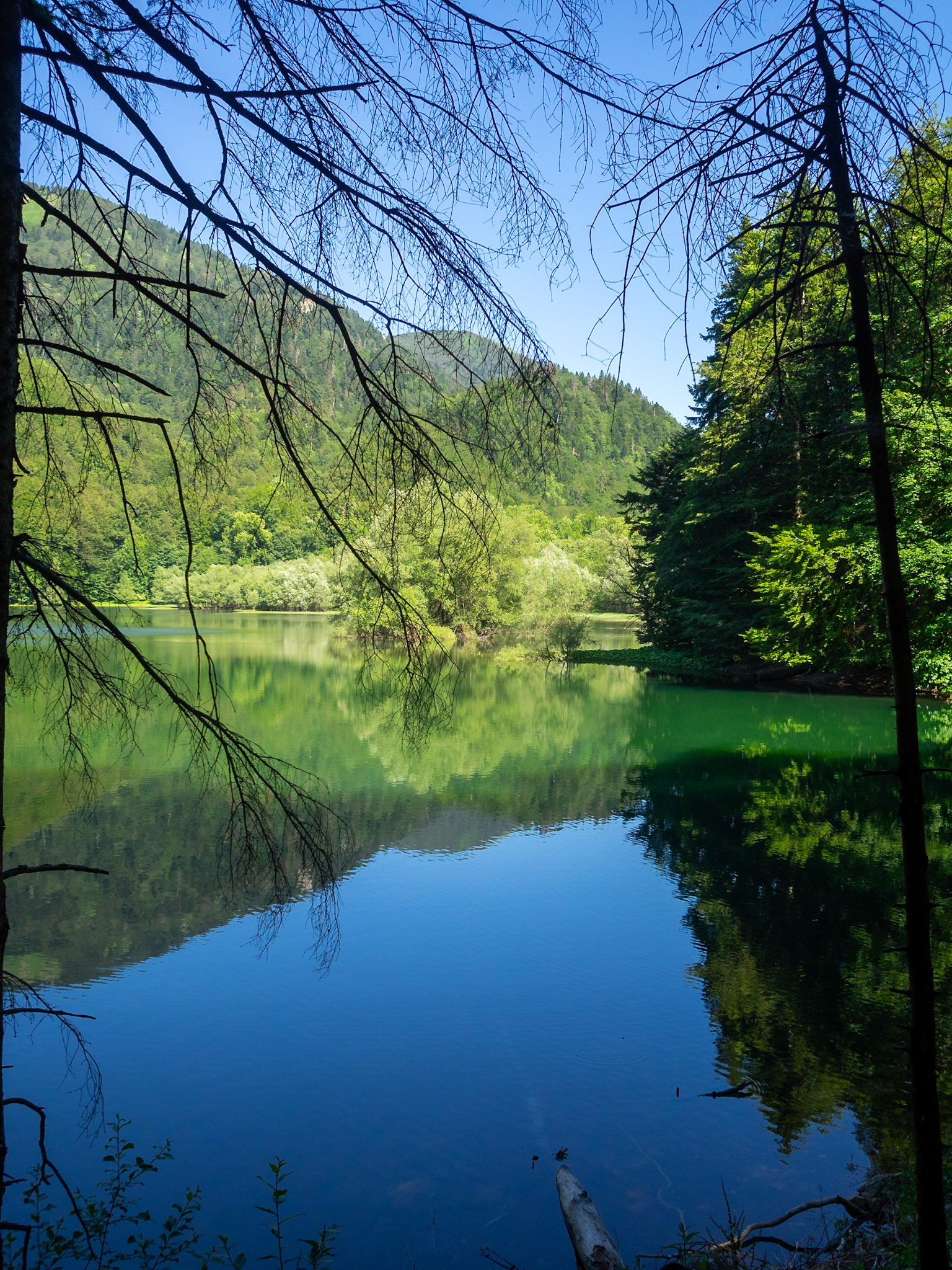 Lake Biograd landscape