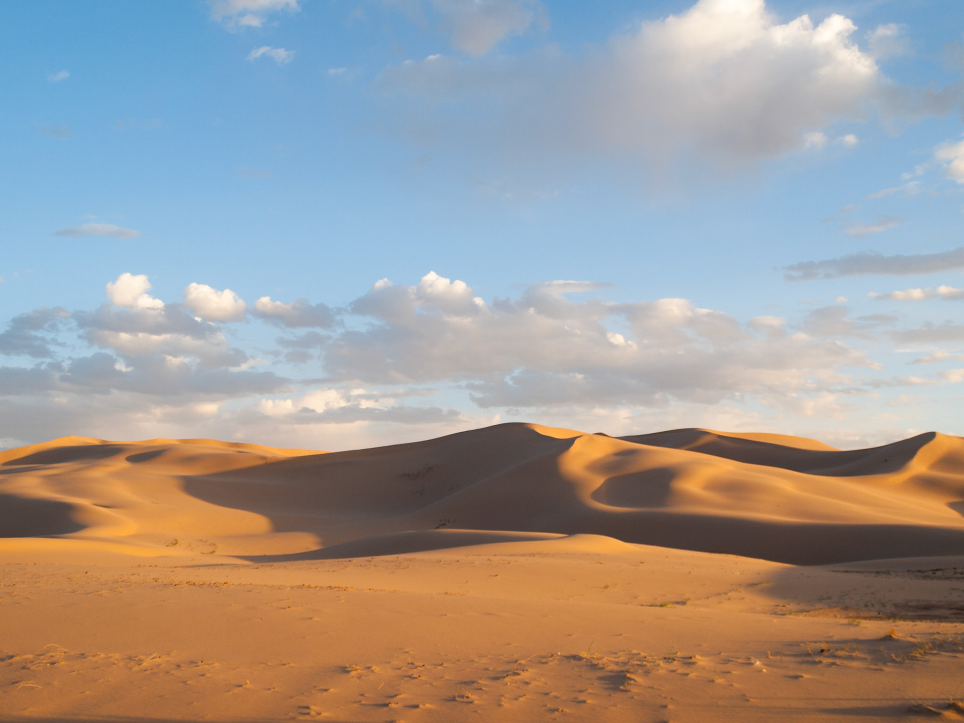 Sand dunes of Khongoryn Els