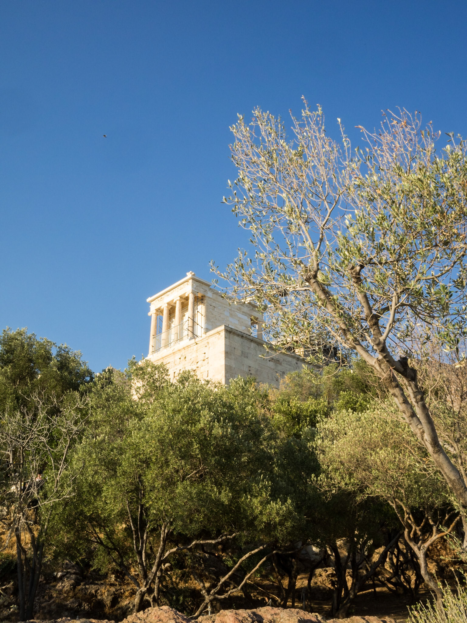 Athena Nike temple behind the olive trees at the Athens Acropolis