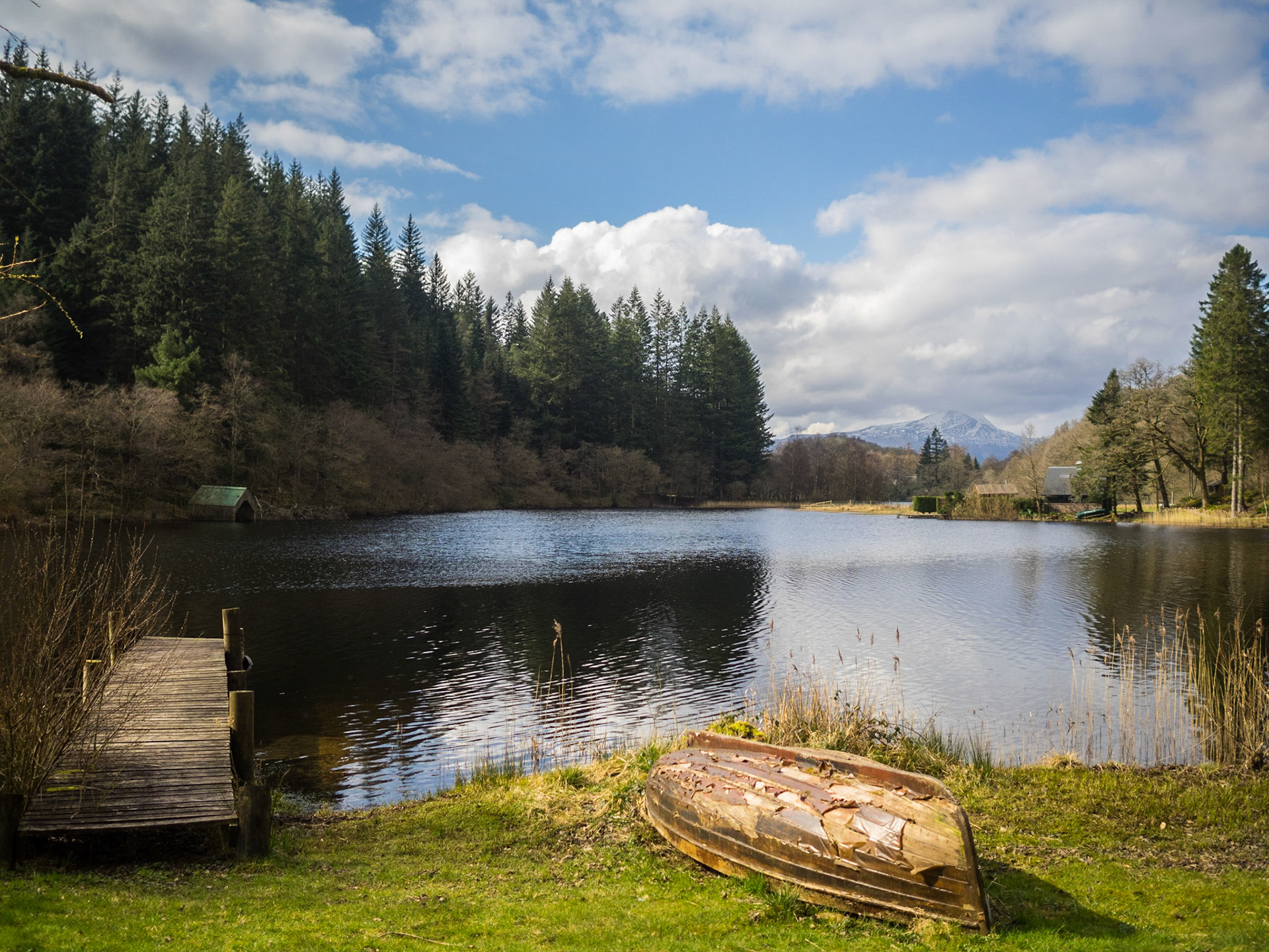 Loch Ard margins landscape