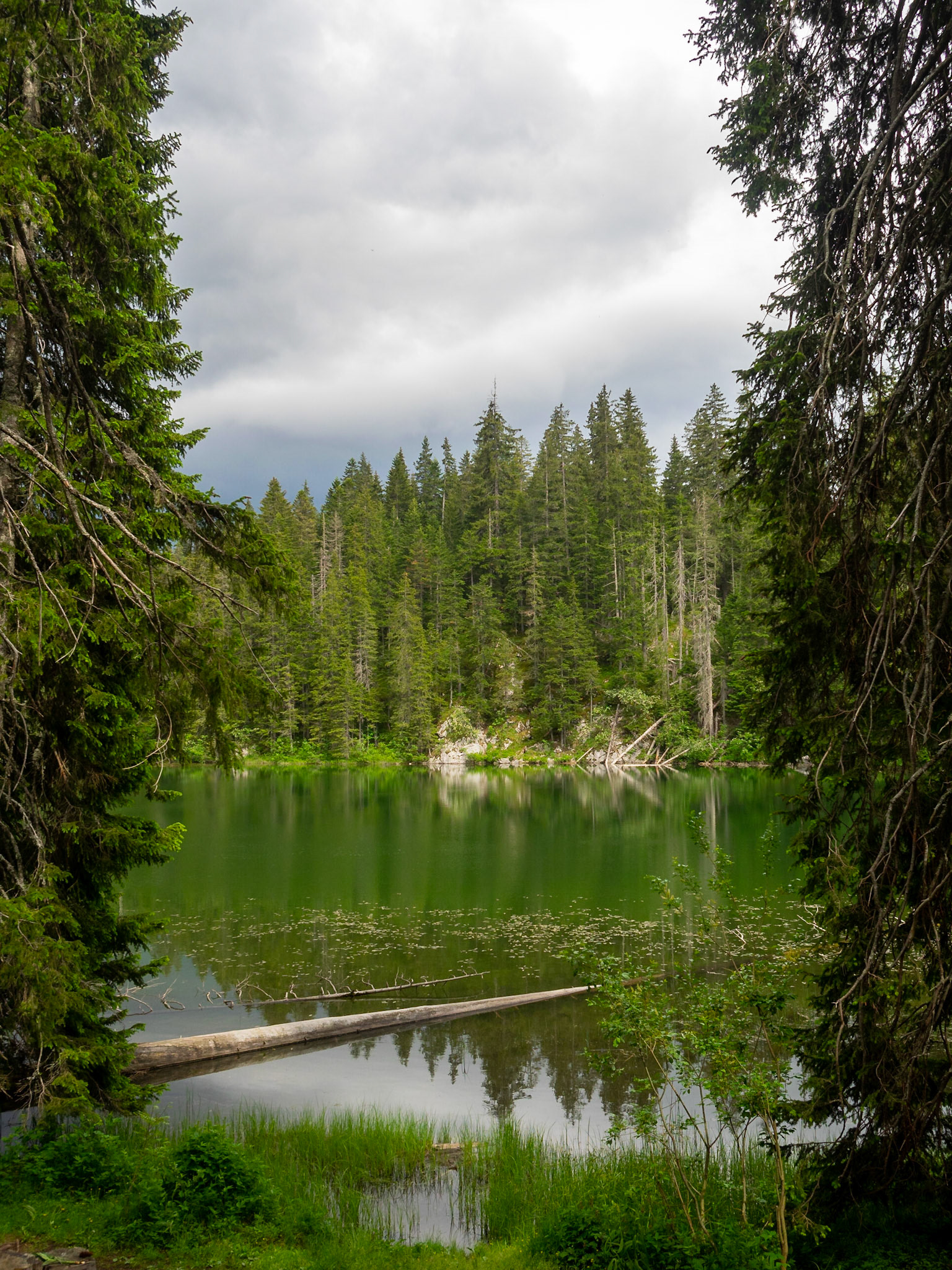 Snake Lake (Zminje jezero) Durmitor National Park