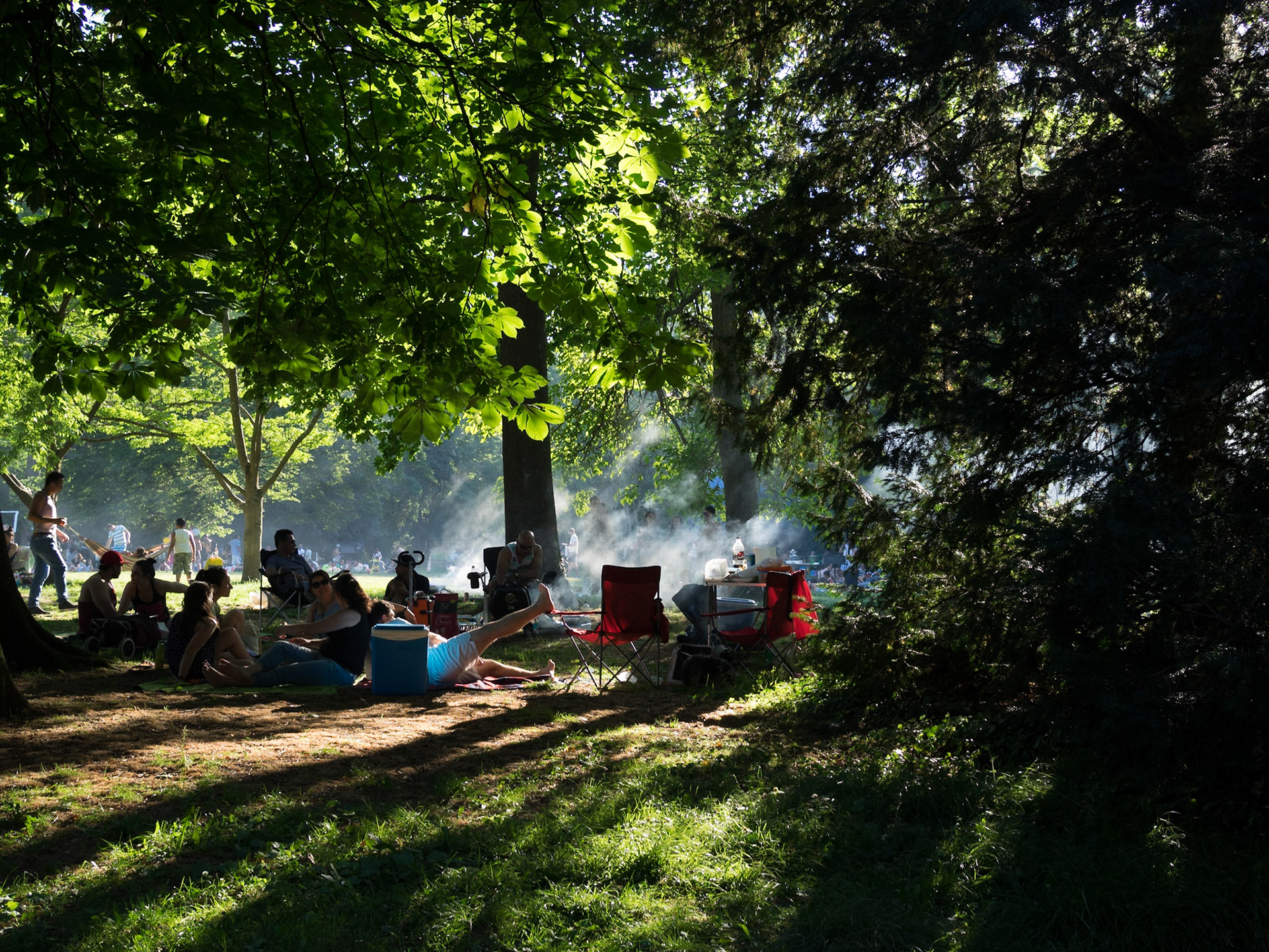 People picnicking in a sunny day at the park in Geneva