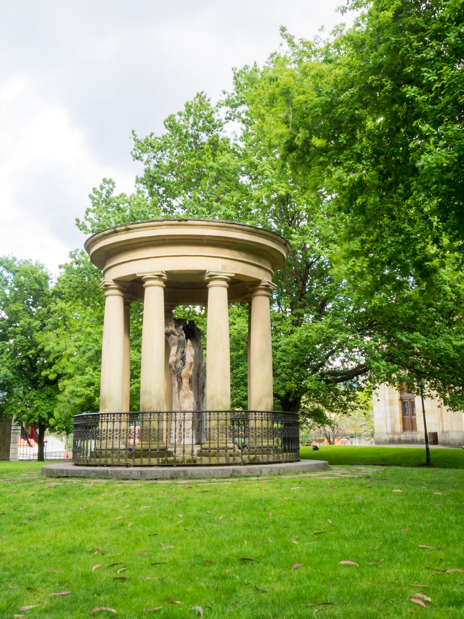 The tree of Guernica