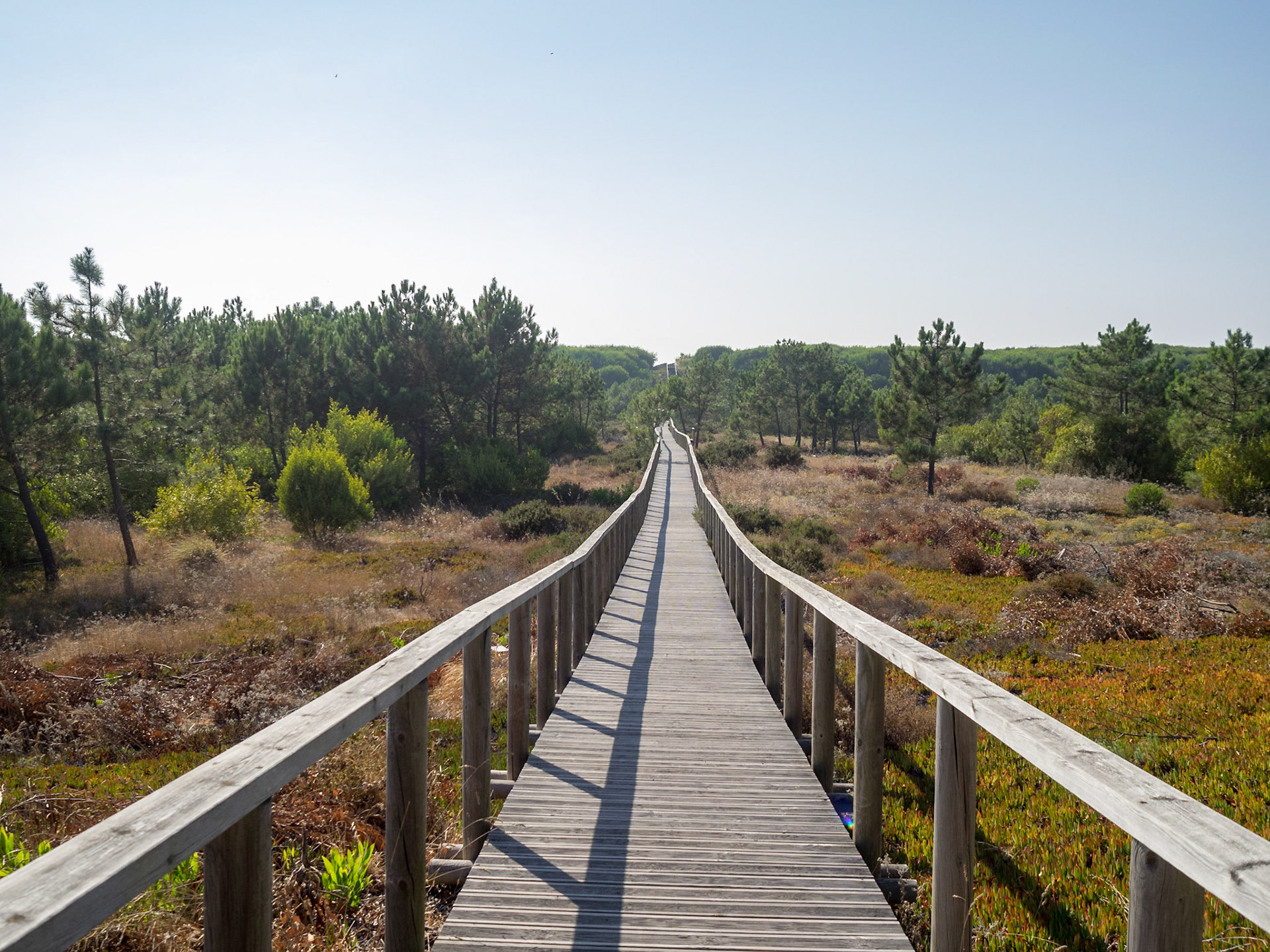 São Jacinto Dunes Nature Park