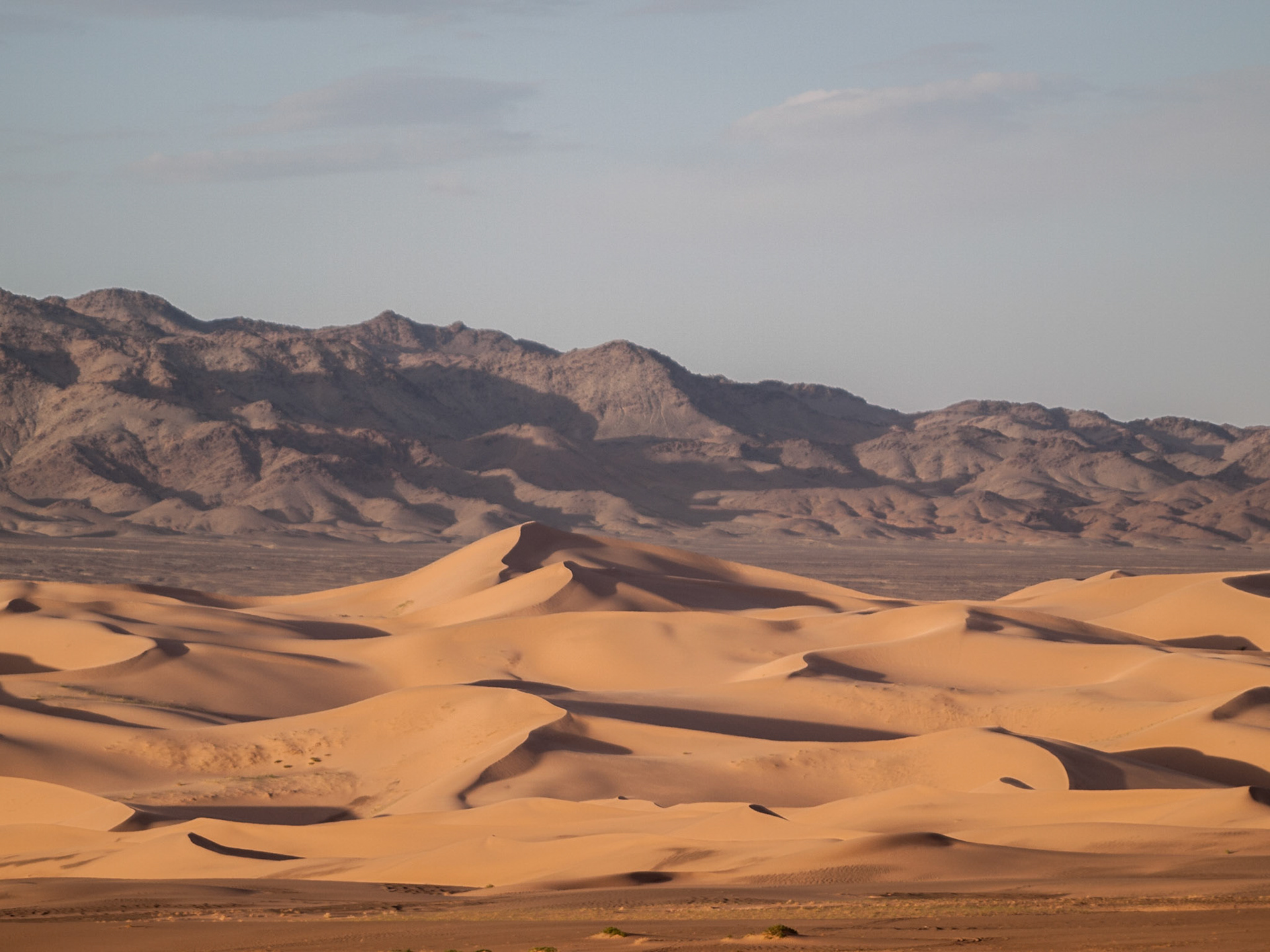 Khongoryn Els sand dunes