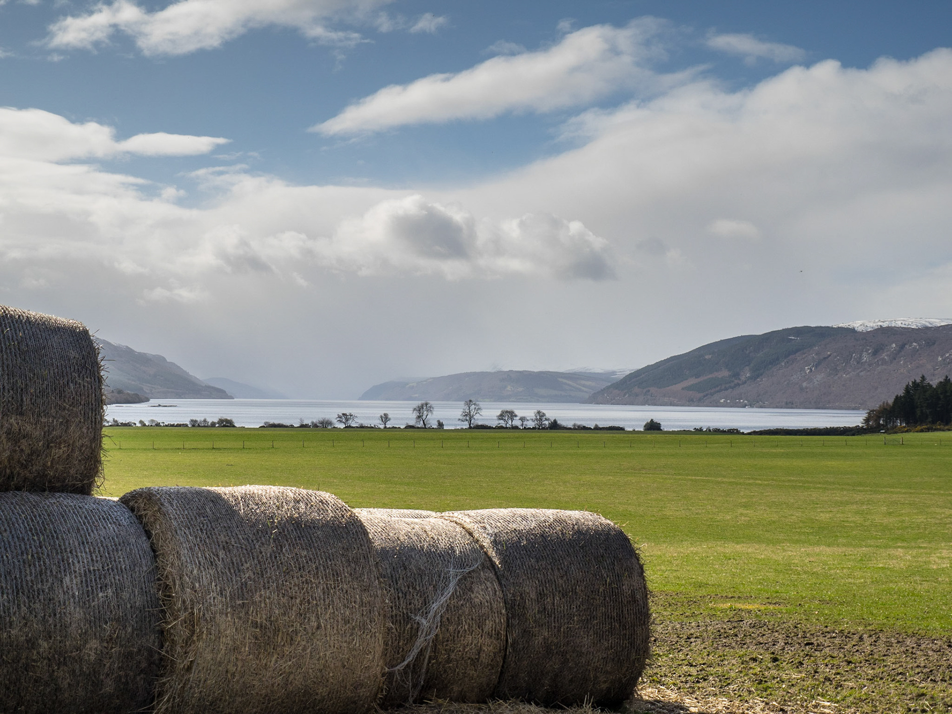 Hay roles in Loch Nech valley