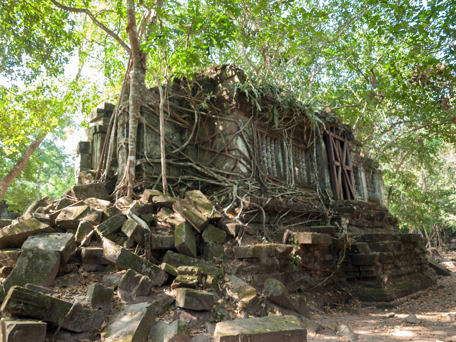 Beng Mealea, Cambodia - a temple tower hold by trees
