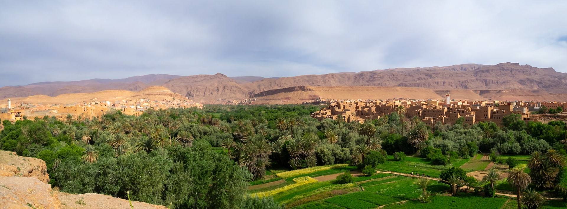 The ochre landscape and the oasis by Tinghir and the Todgha River, Morocco