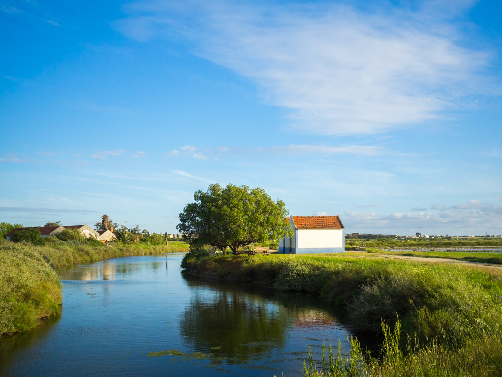 Reflected in the water