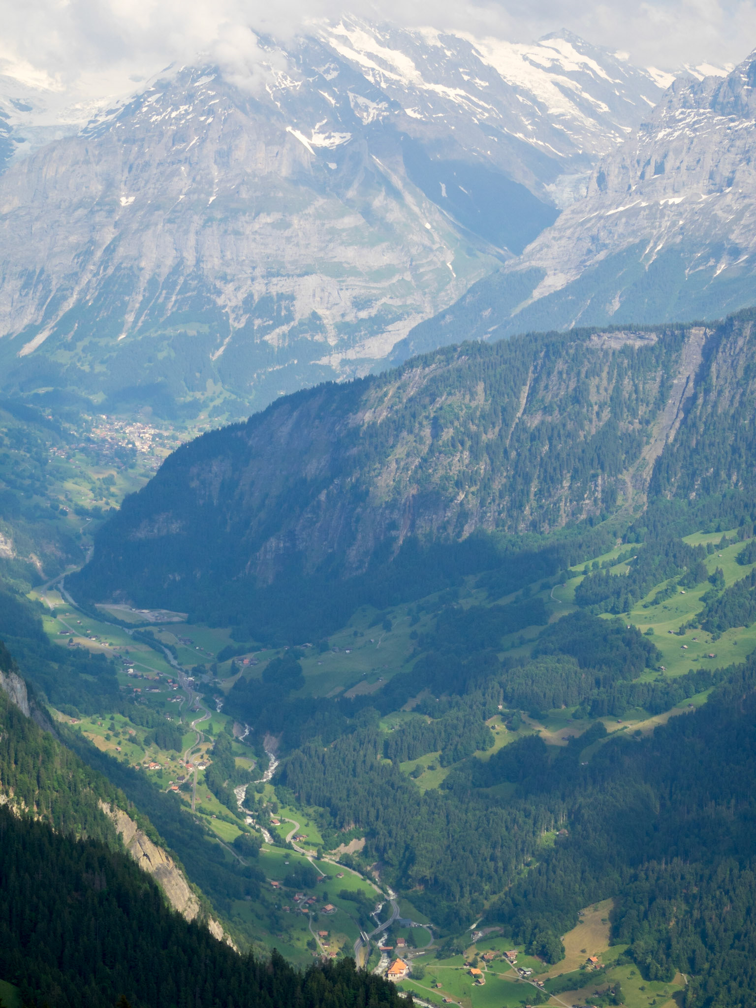 Bernese Alps seen from Schynige Platte