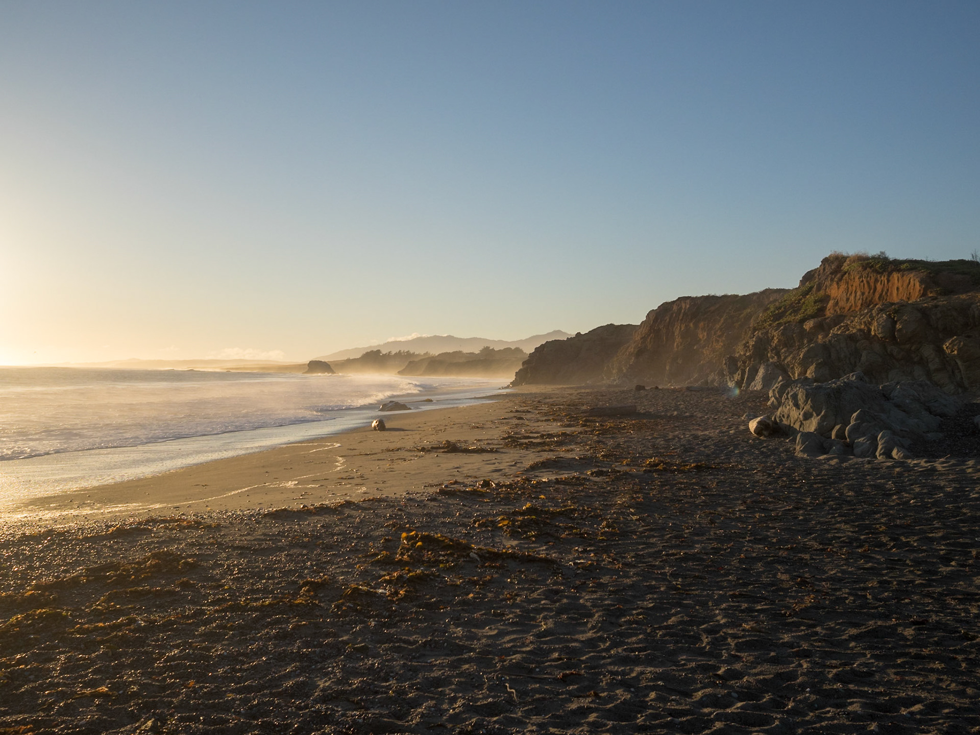 Piedras Blancas State Marine park beach, California