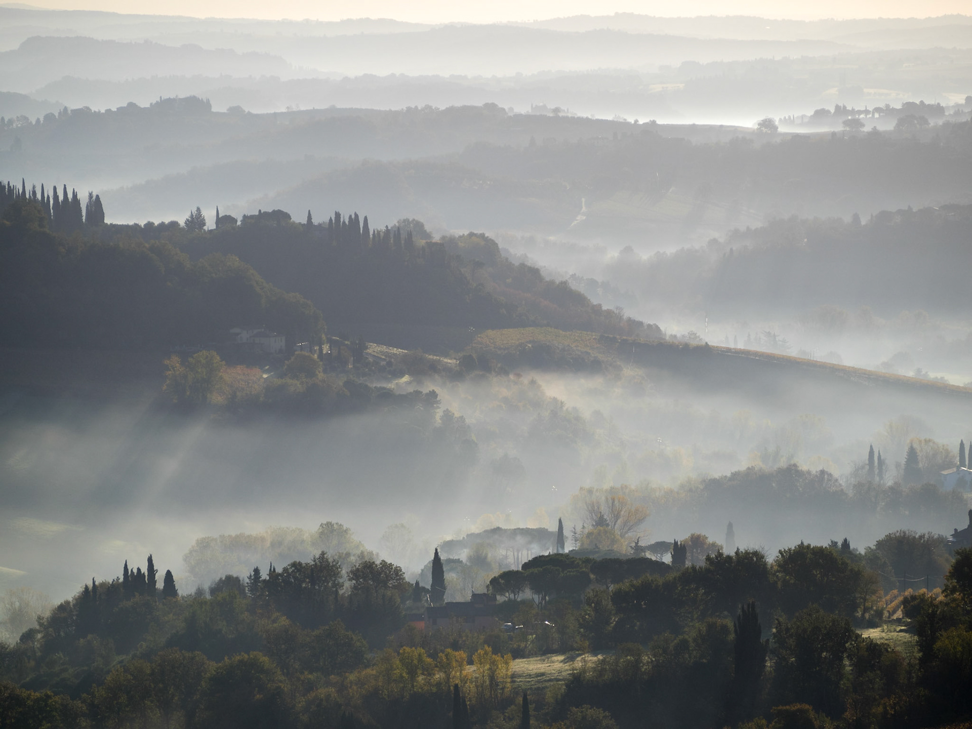 Tuscany landscape with dawn mist