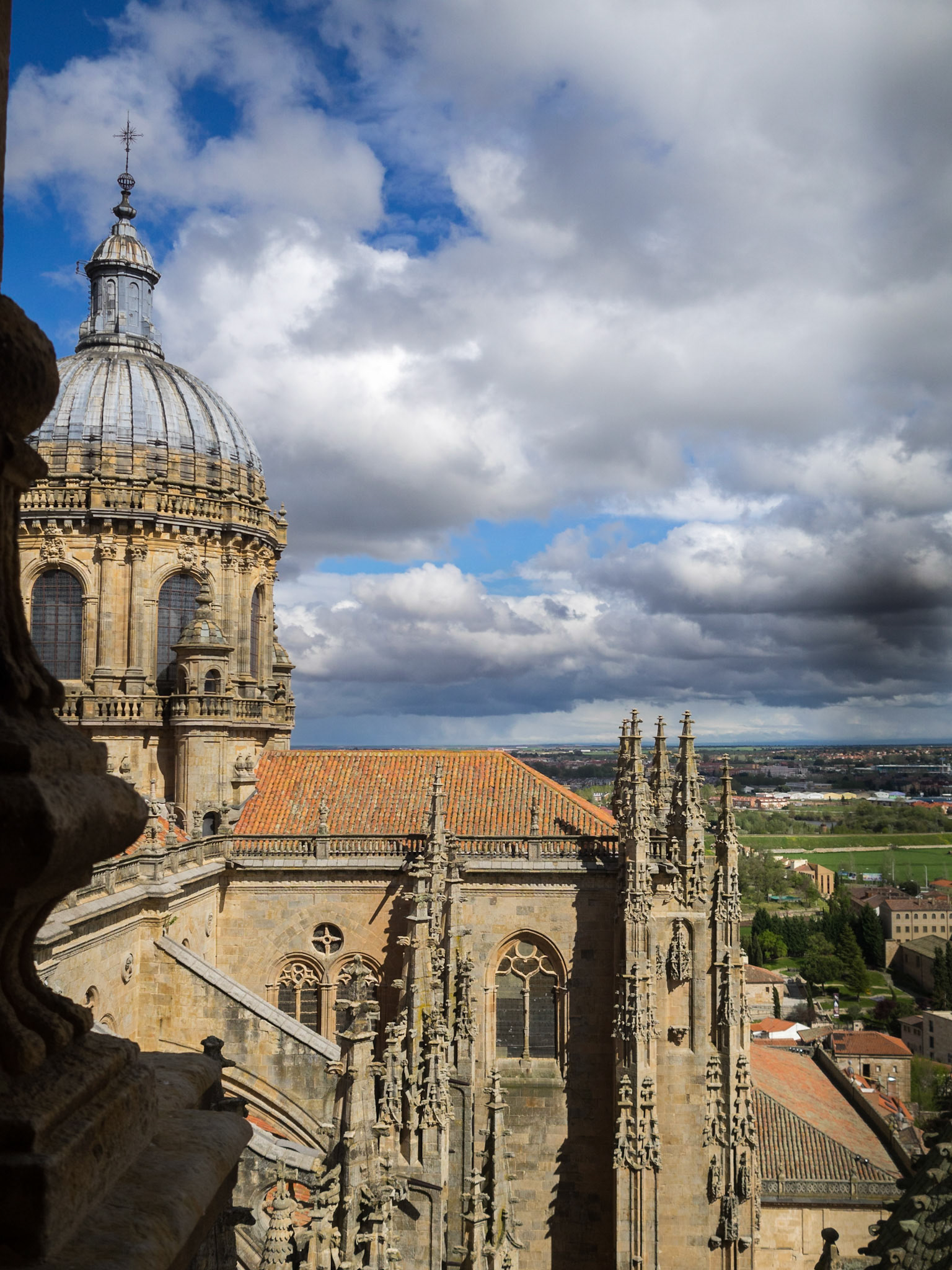 Salamanca Cathedral roofs